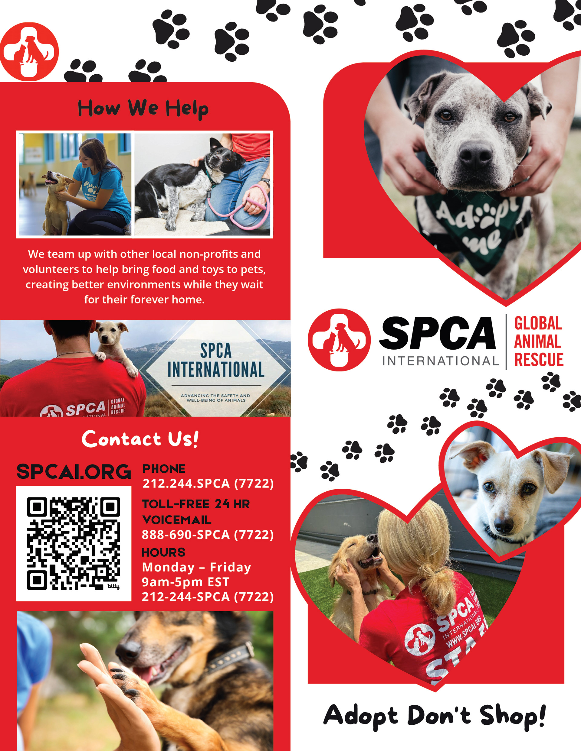 SPCAI Promotional Brochure - Final Design - Back & Front Covers - Adobe Illustrator