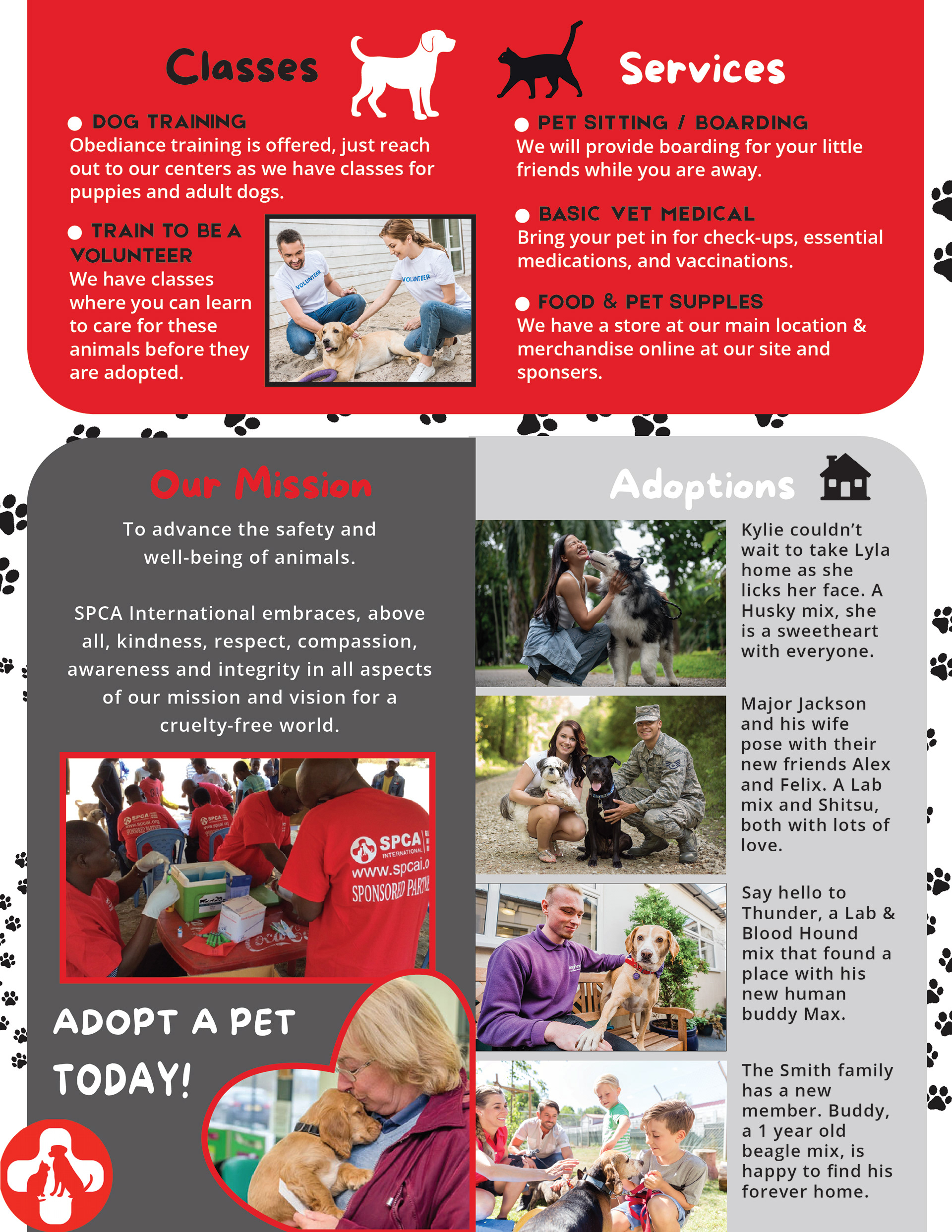 SPCAI Promotional Brochure - Final Design - Inside Spread - Adobe Illustrator