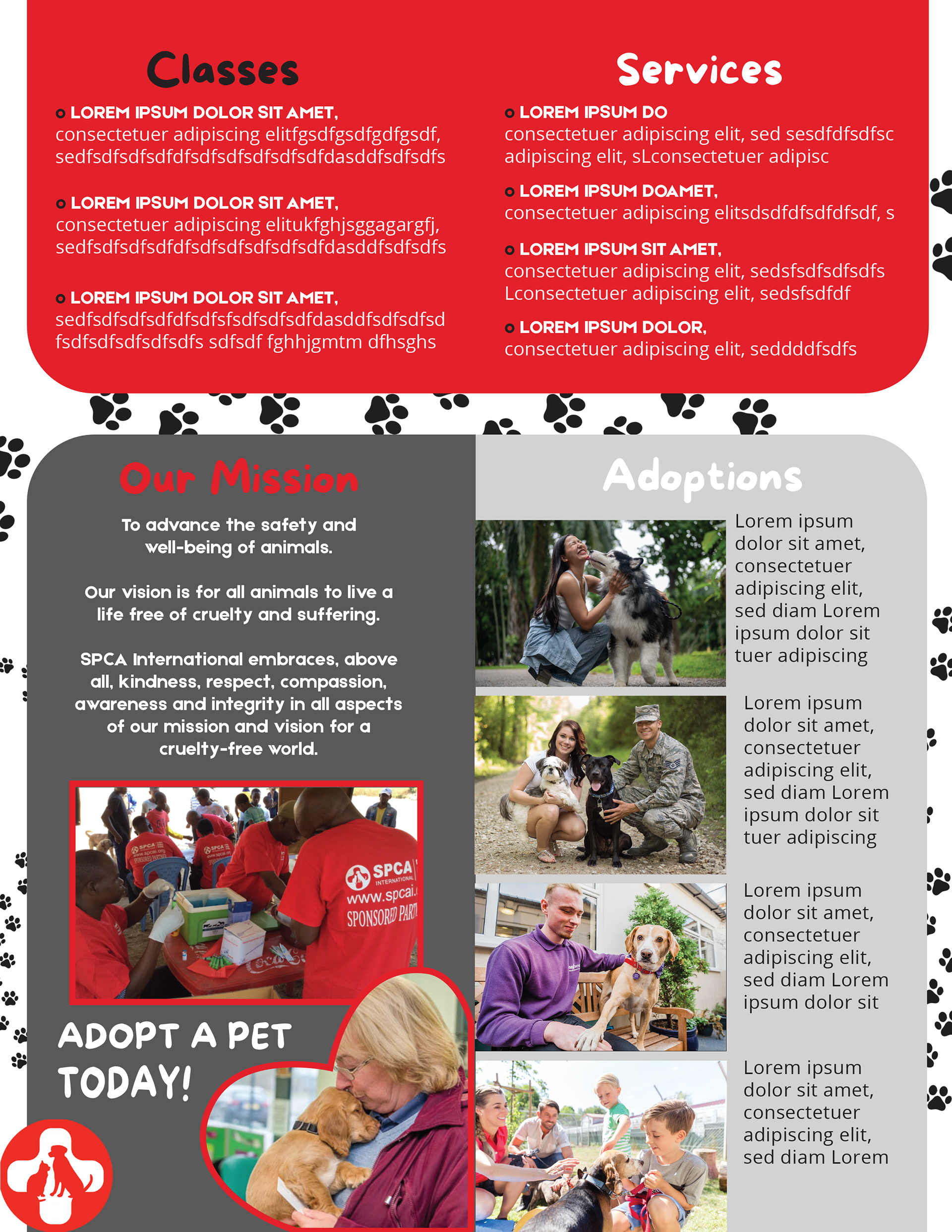 1st Draft of Brochure - Inside