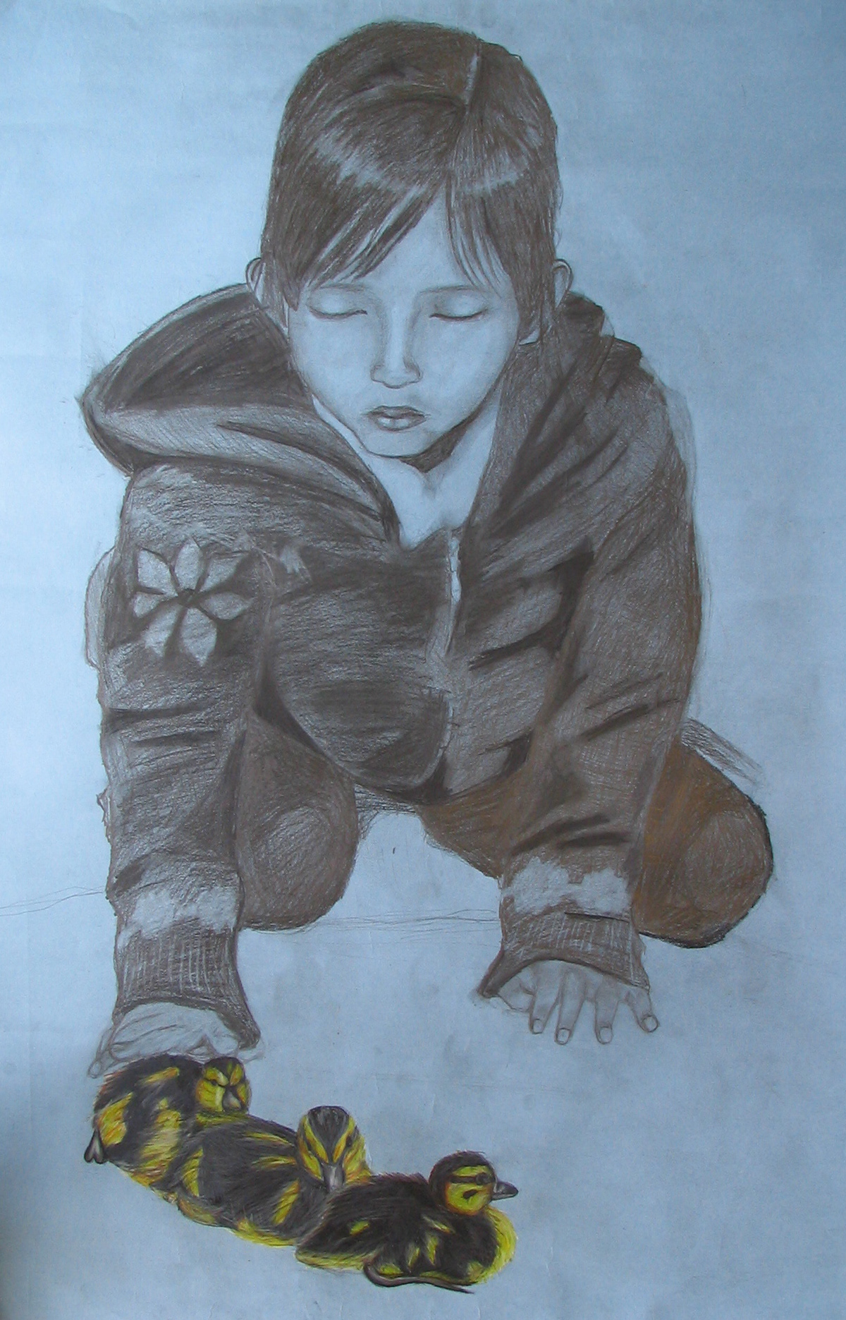 Mother Duck - Pencil, Colored Pencil - Sketch