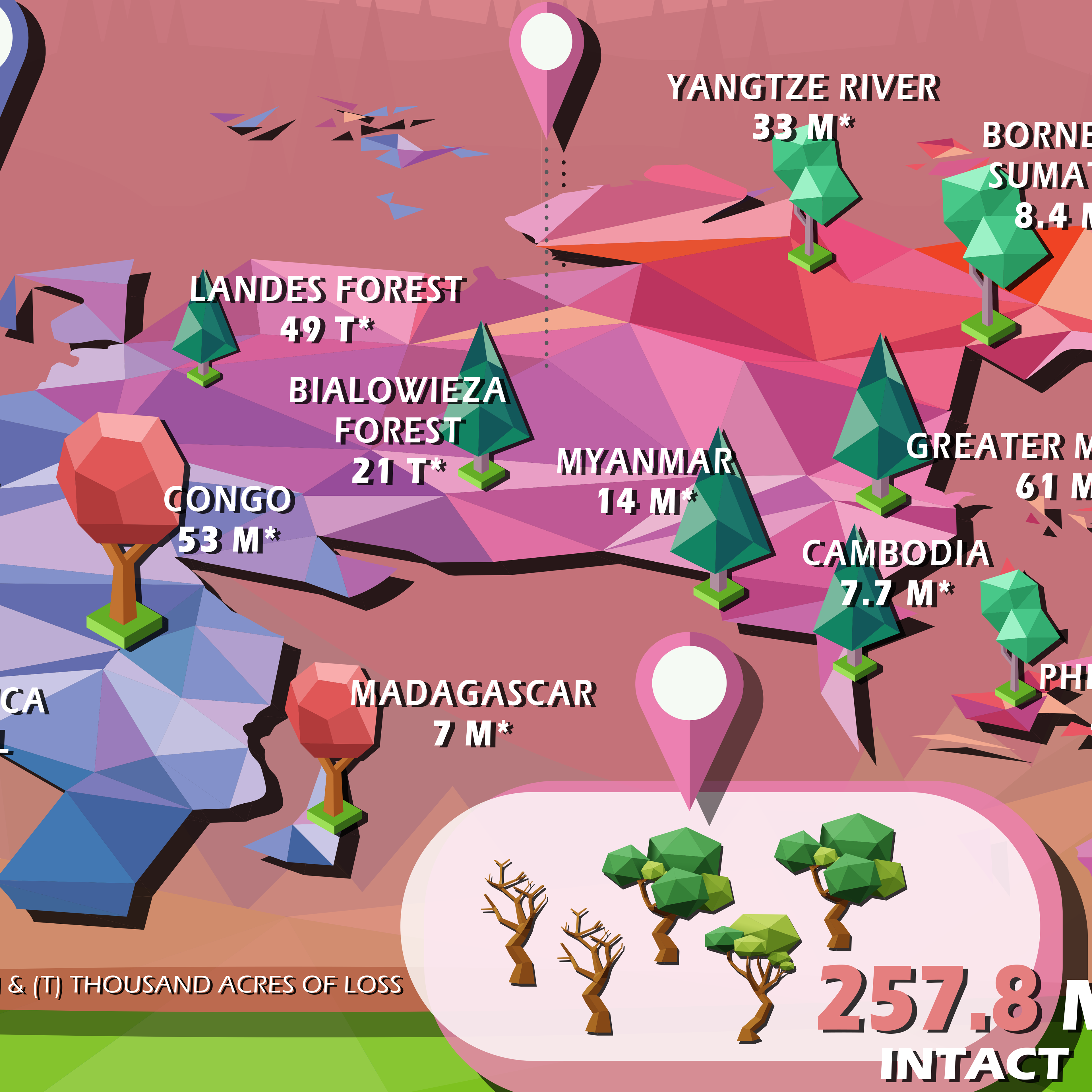 Slide 8