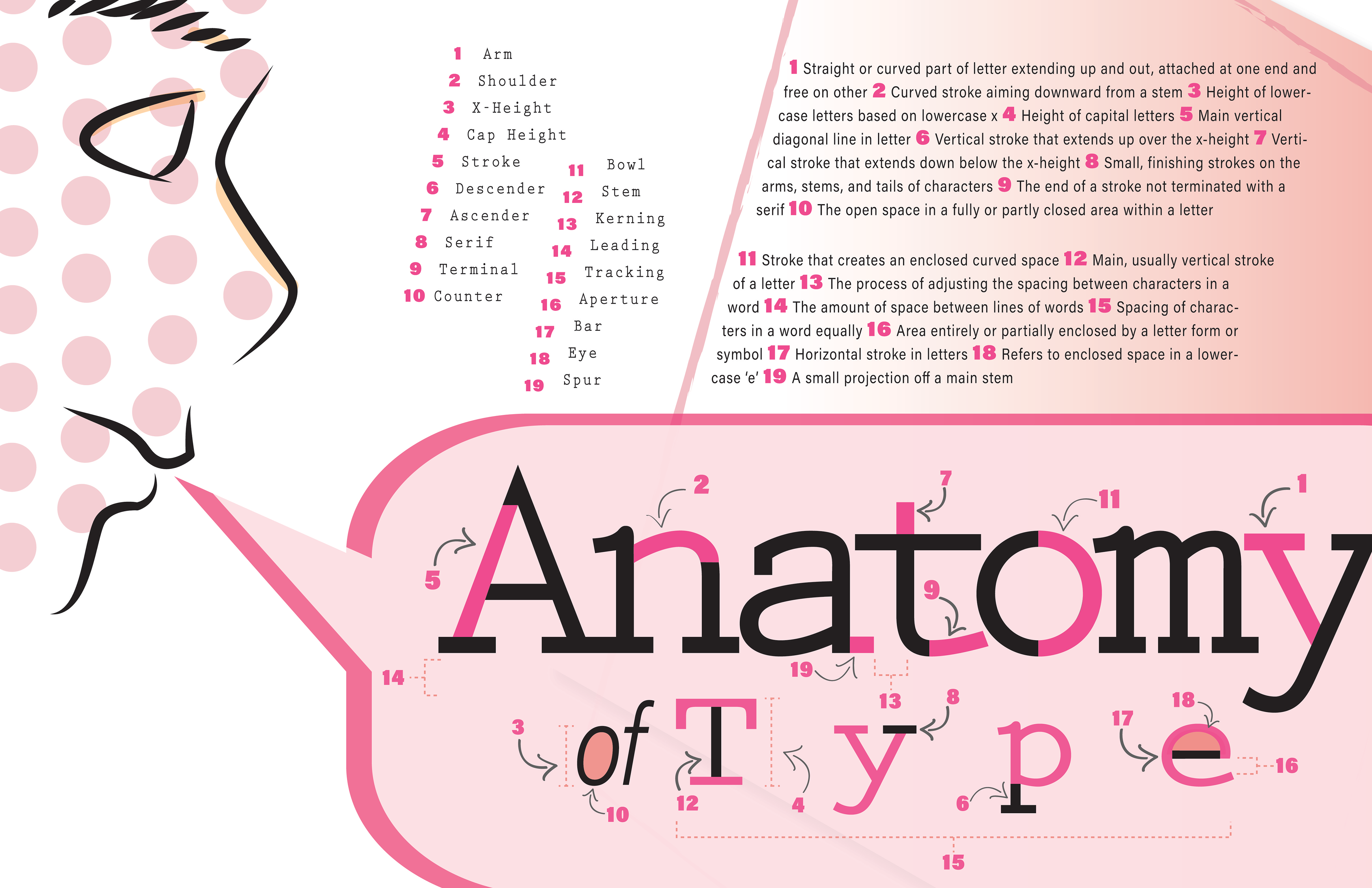 Anatomy of Type Infograph - Typography Poster - Illustrator