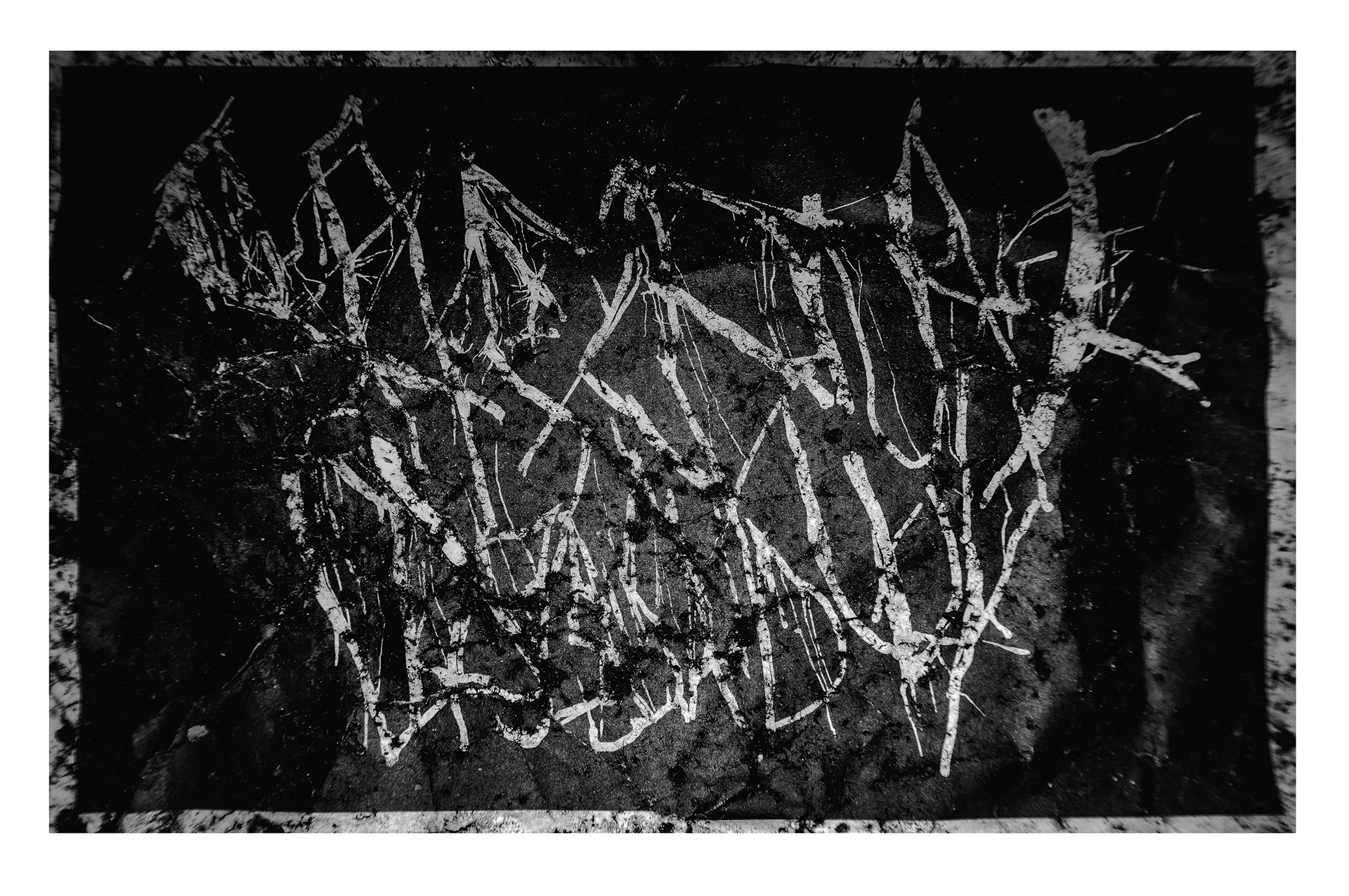Paszport Chszestowy, 2021, c-print, 110x74cm