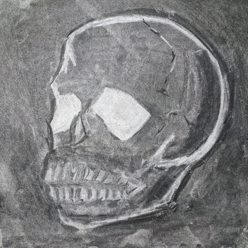 Human Skull