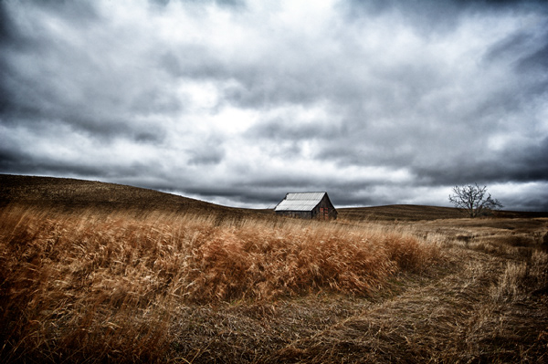 Old SR 195 Barn & Tree #1