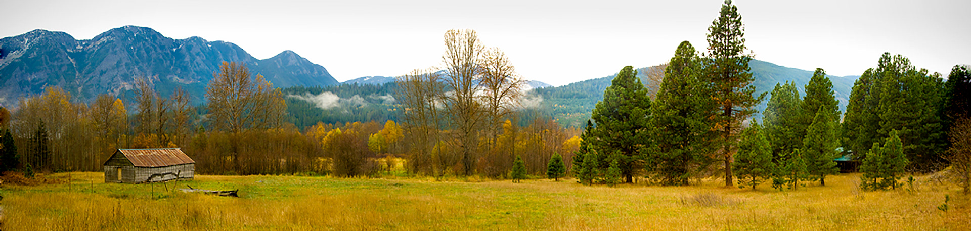 White River Road Panorama