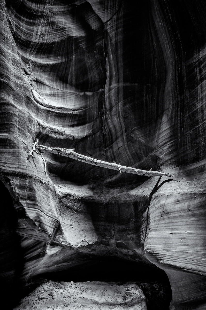 Antelope Canyon Log