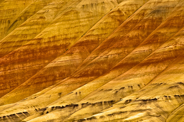 Painted Hills #2