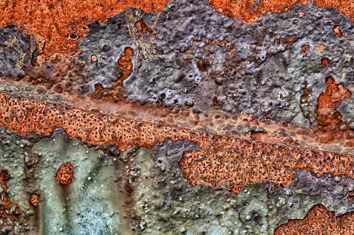 Newport Rust #1