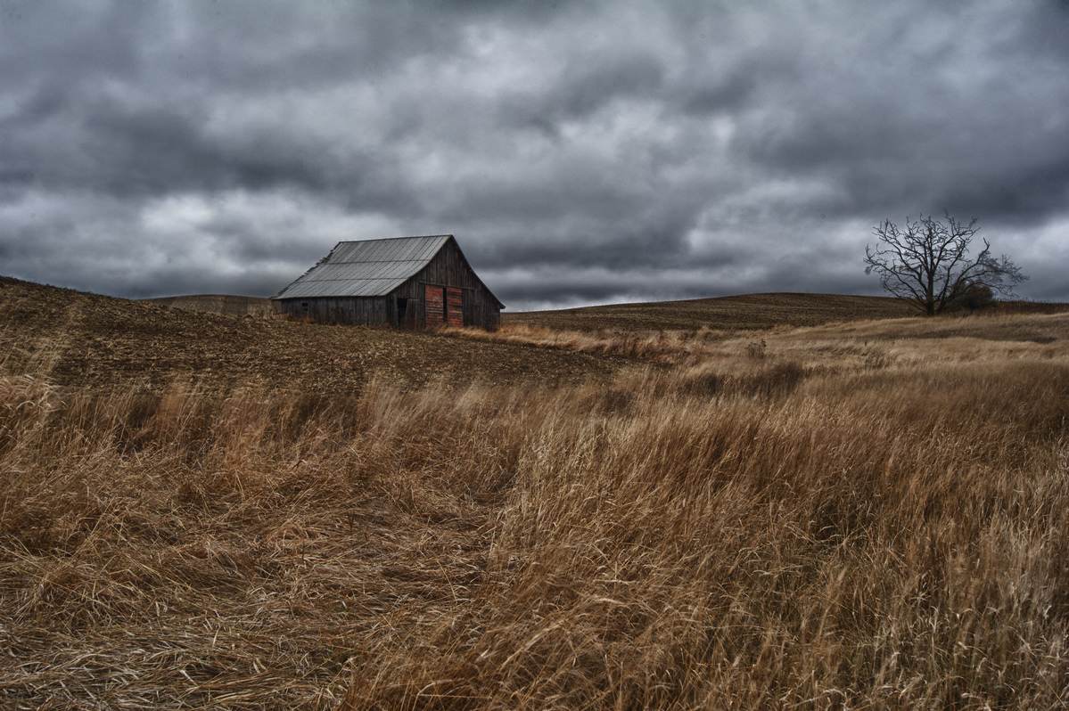 Old SR 195 Barn & Tree #2 Color