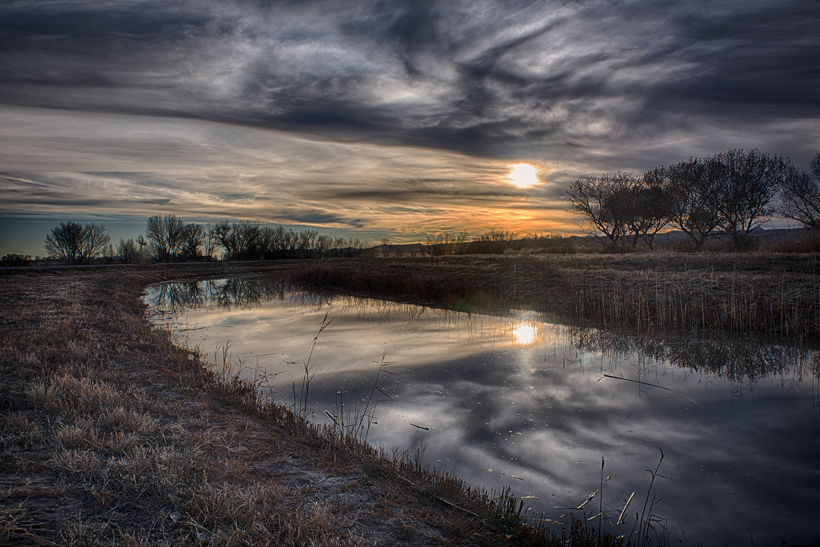 Bosque del Apache Reflection #2