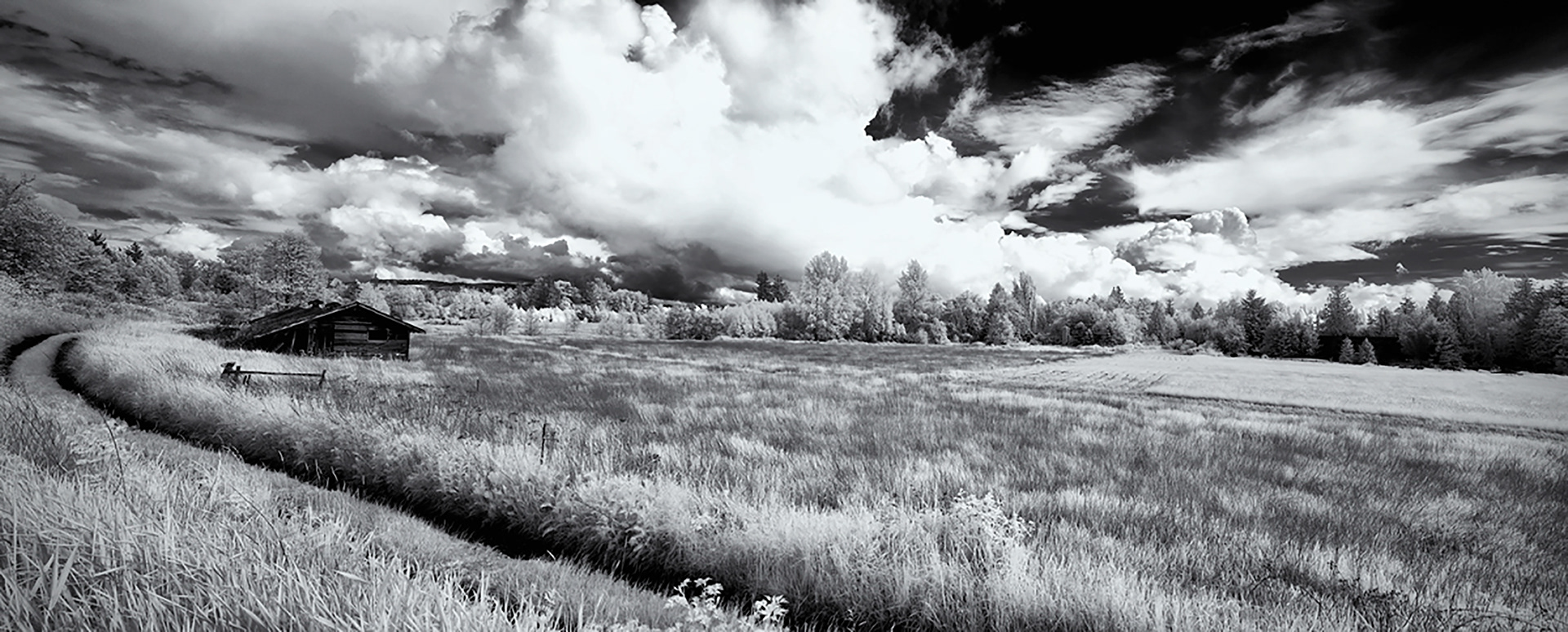 Axton Road Chicken Coop Panorama IR