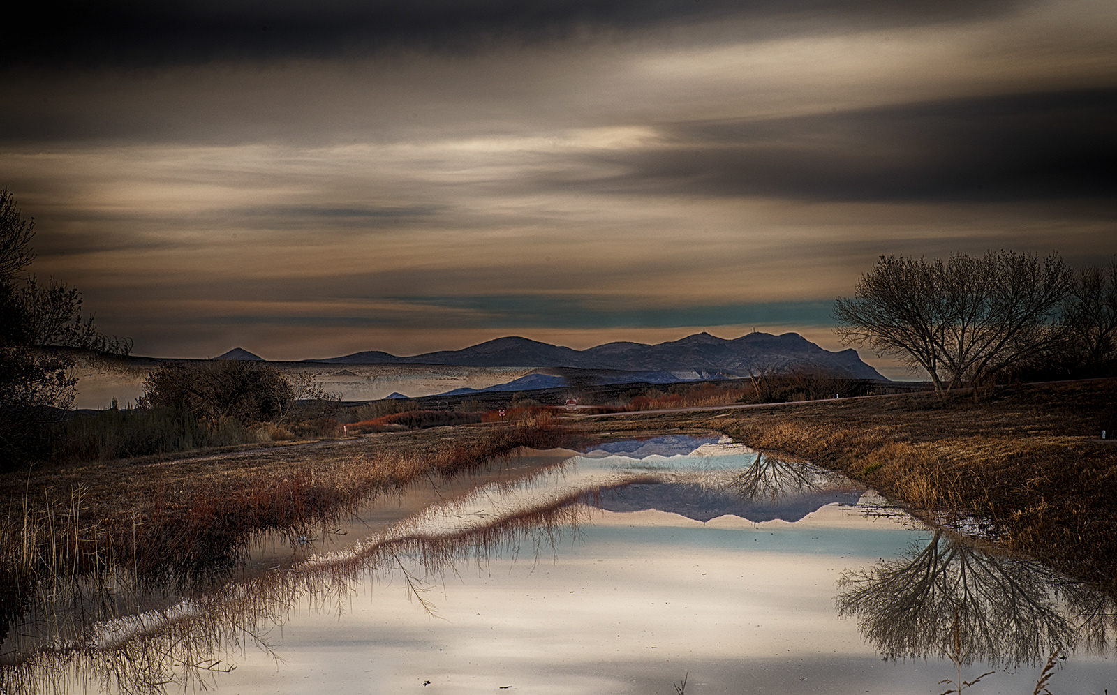 Bosque del Apache Reflection #1