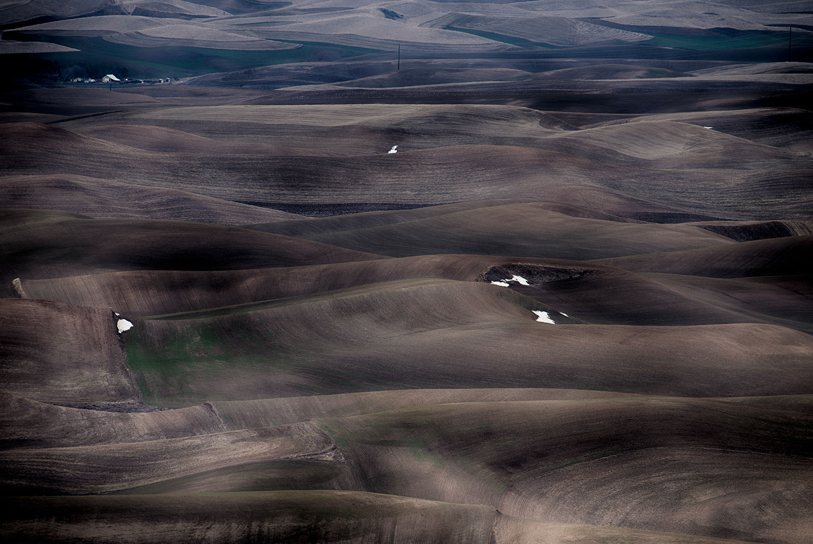 Palouse Fields from Steptoe Butte #9