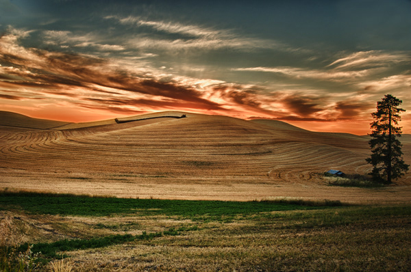 Palouse Fields from Steptoe Butte #1