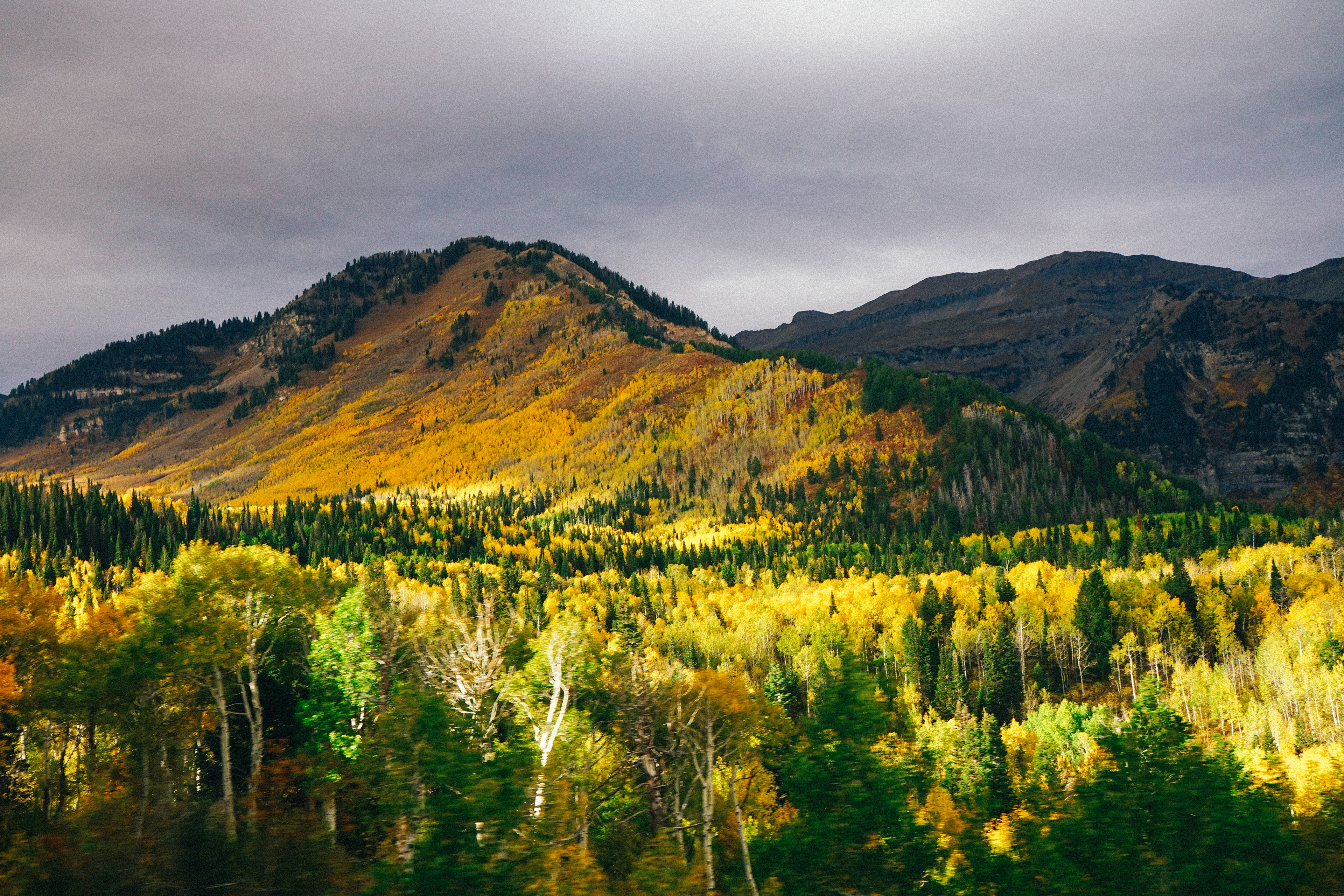 Utah 2018