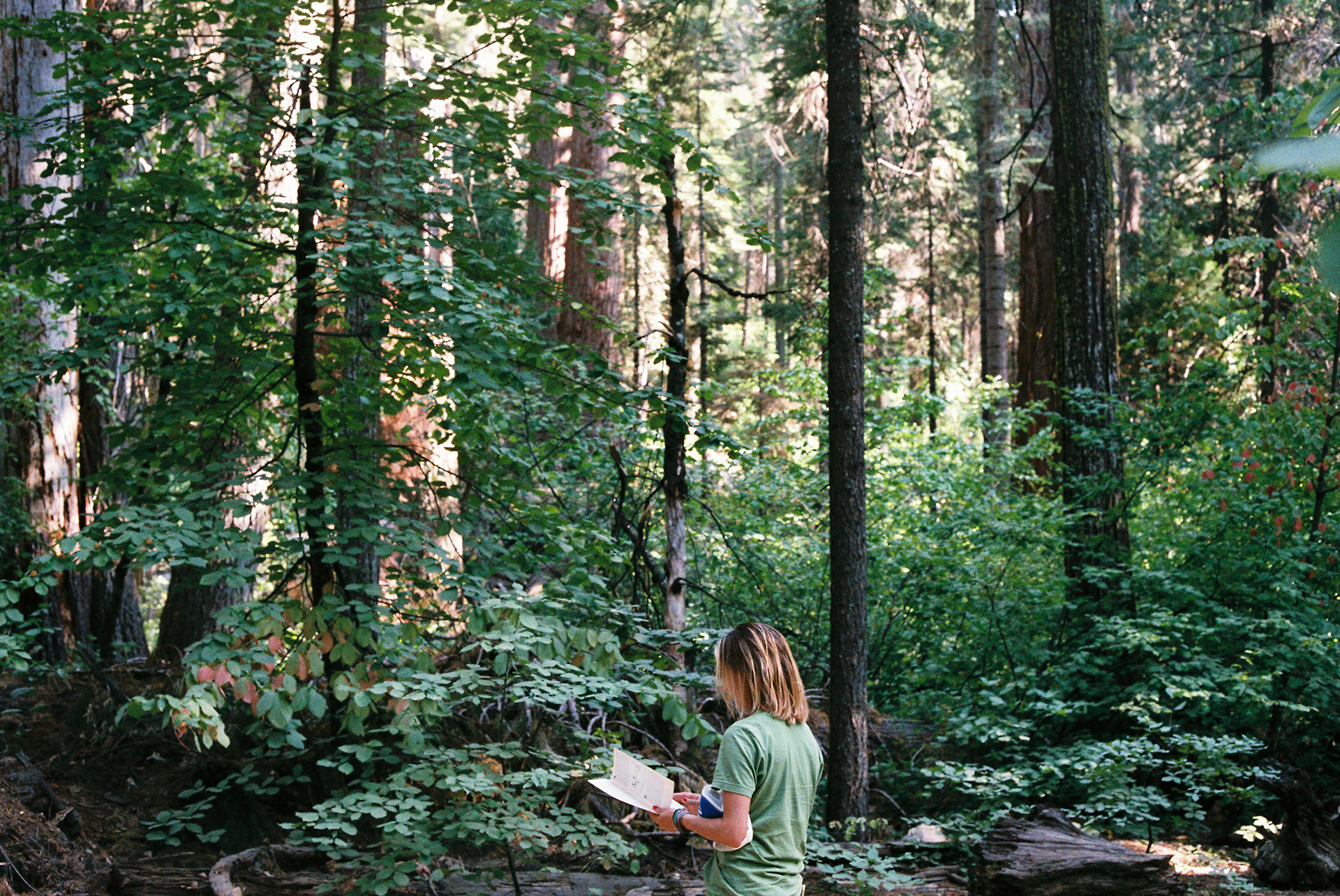 Mom in Big Trees 2017