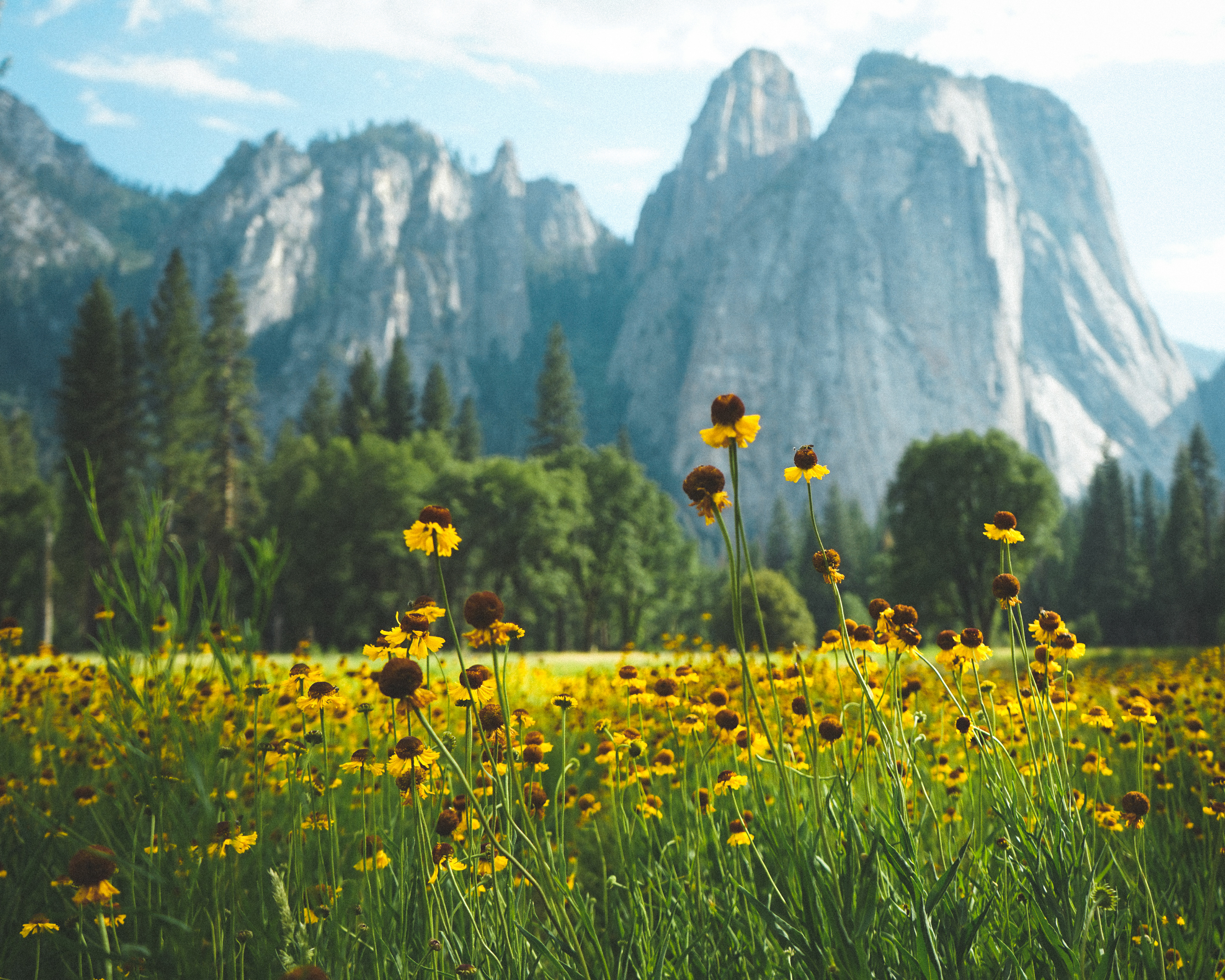 Yosemite 2020