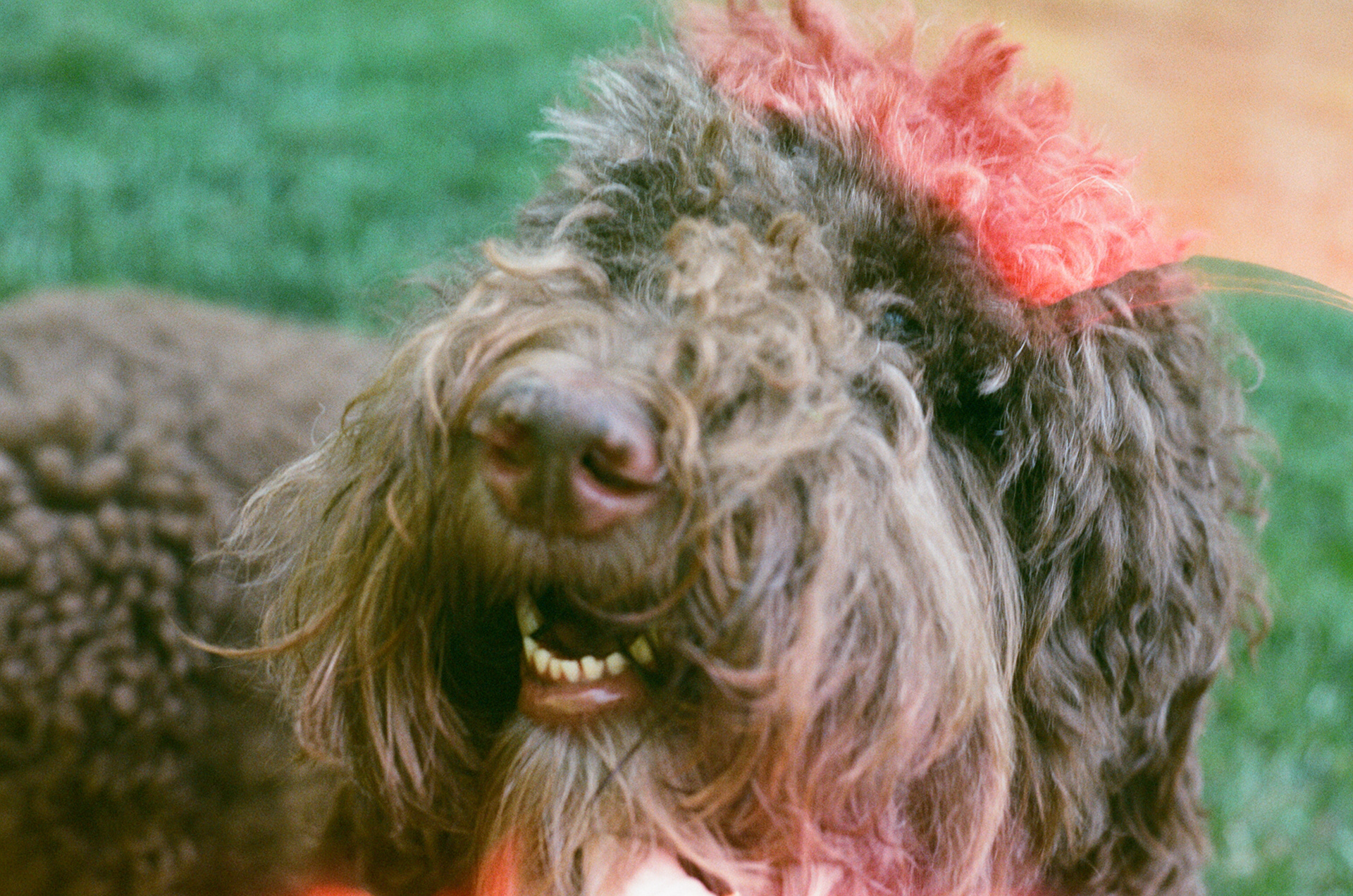 Wake Forest 2022: Eddie