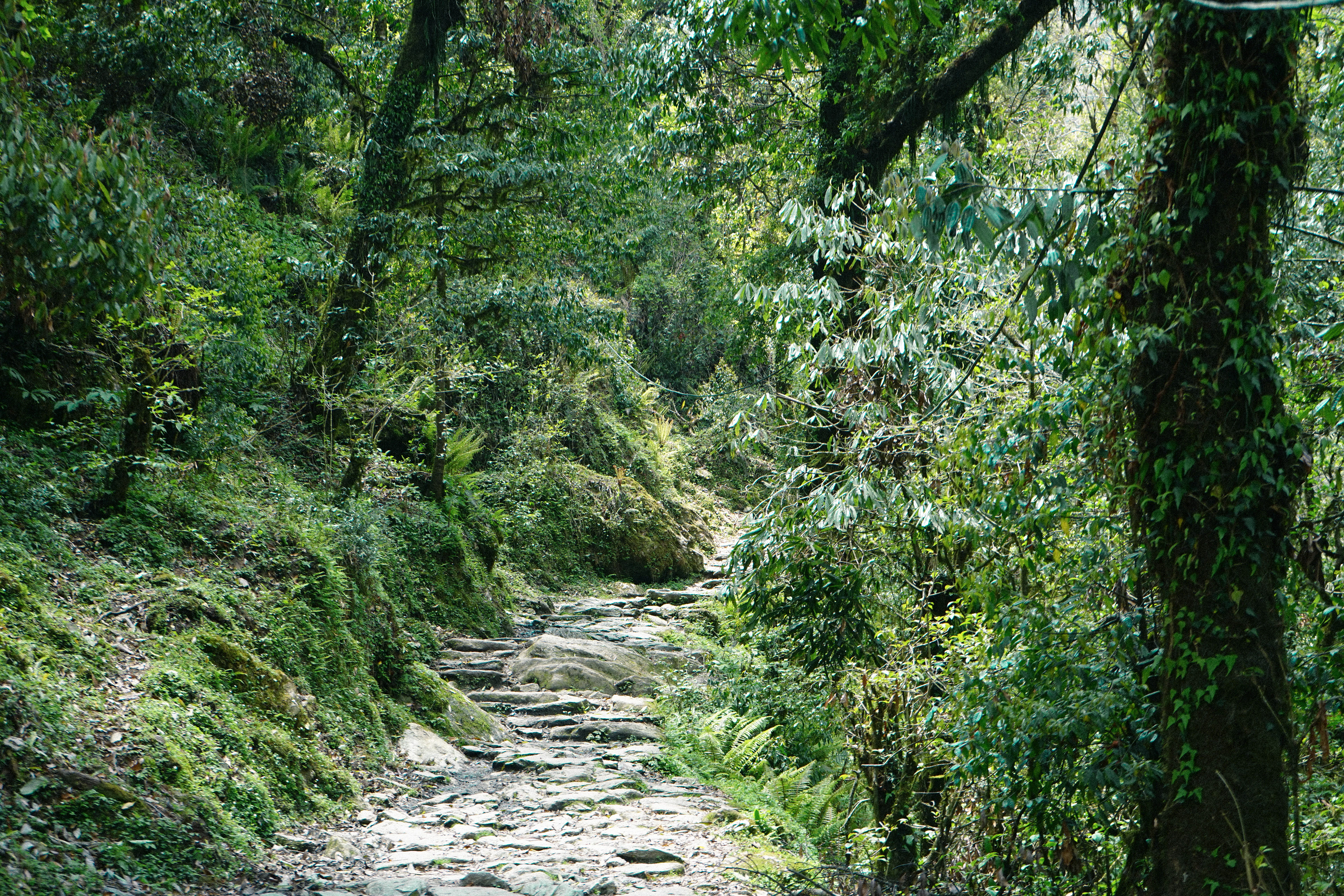 Himalayas 2019
