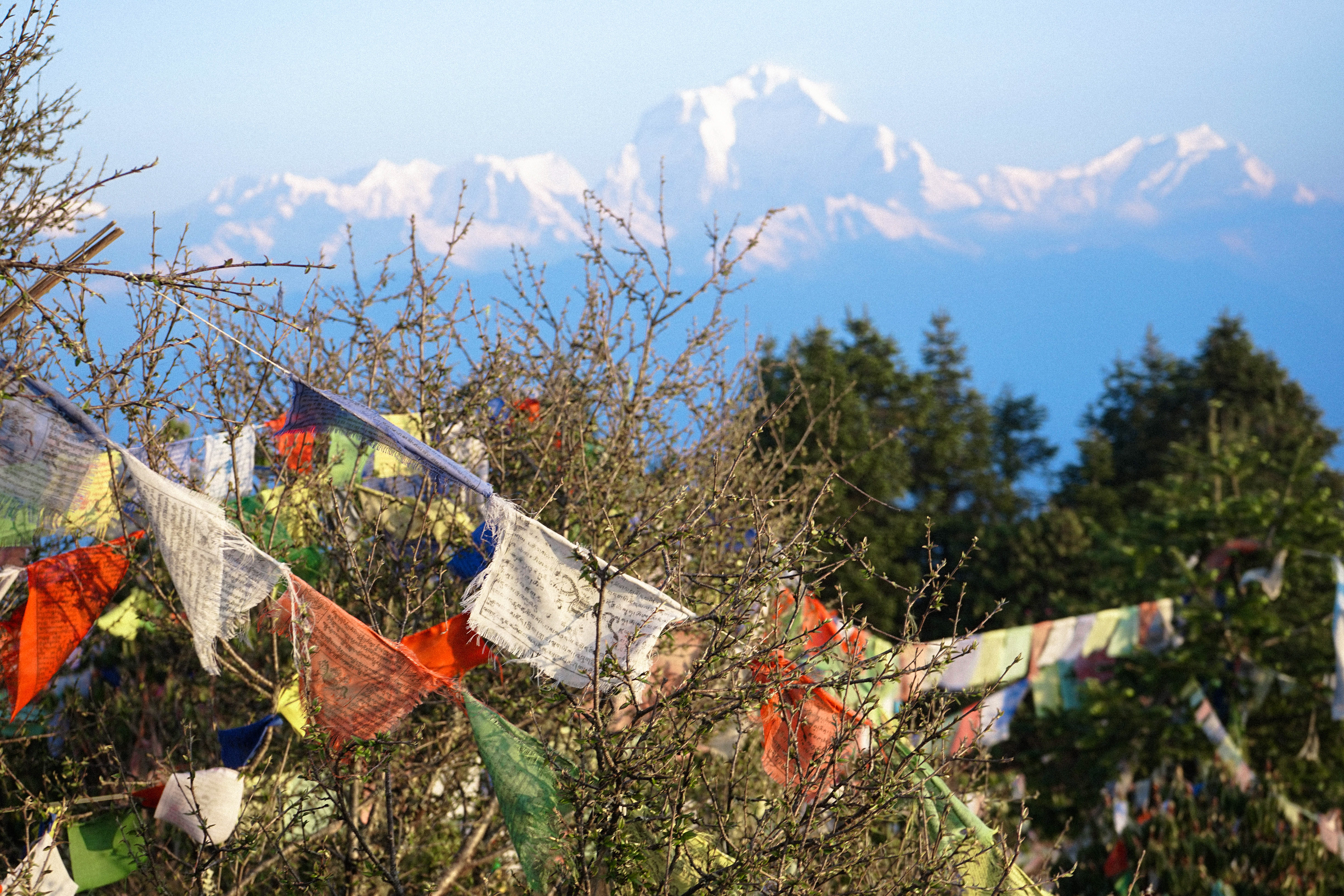 Himalayas 2019