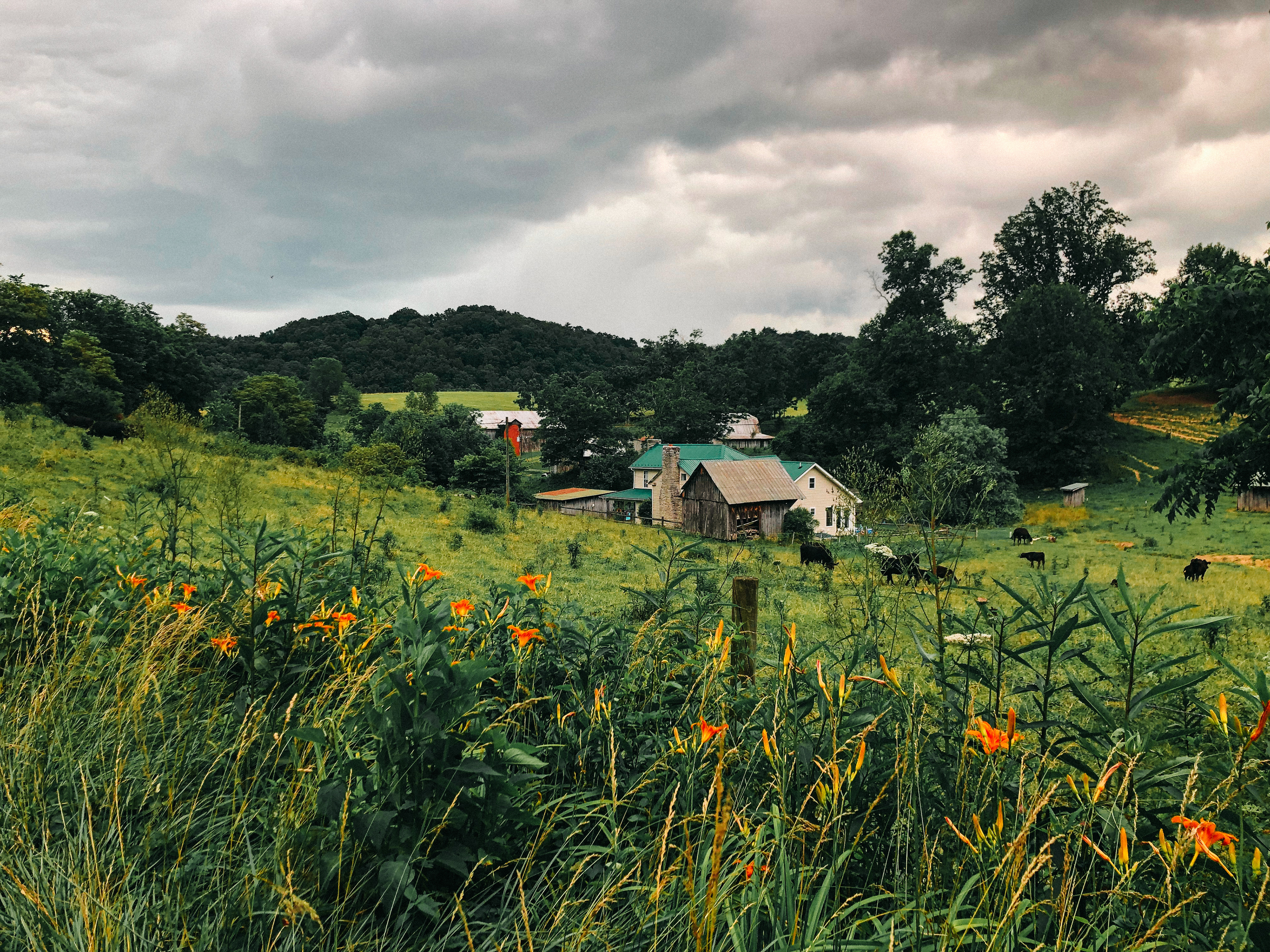Abingdon VA 2019