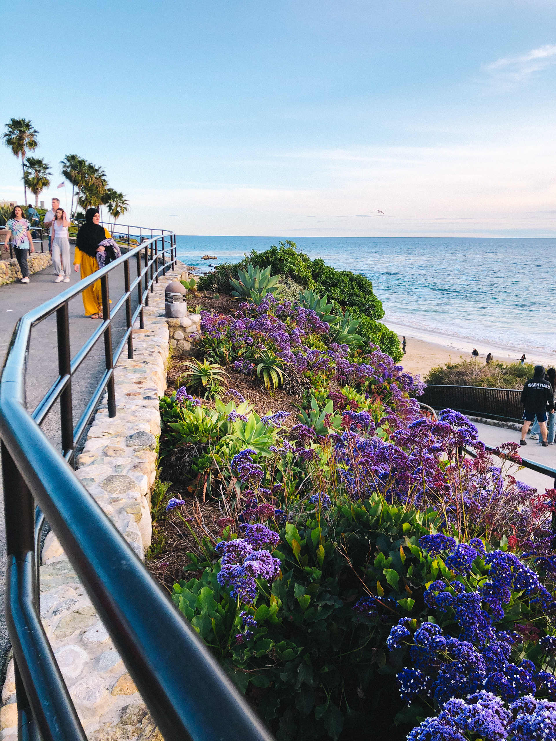Laguna Beach 2020