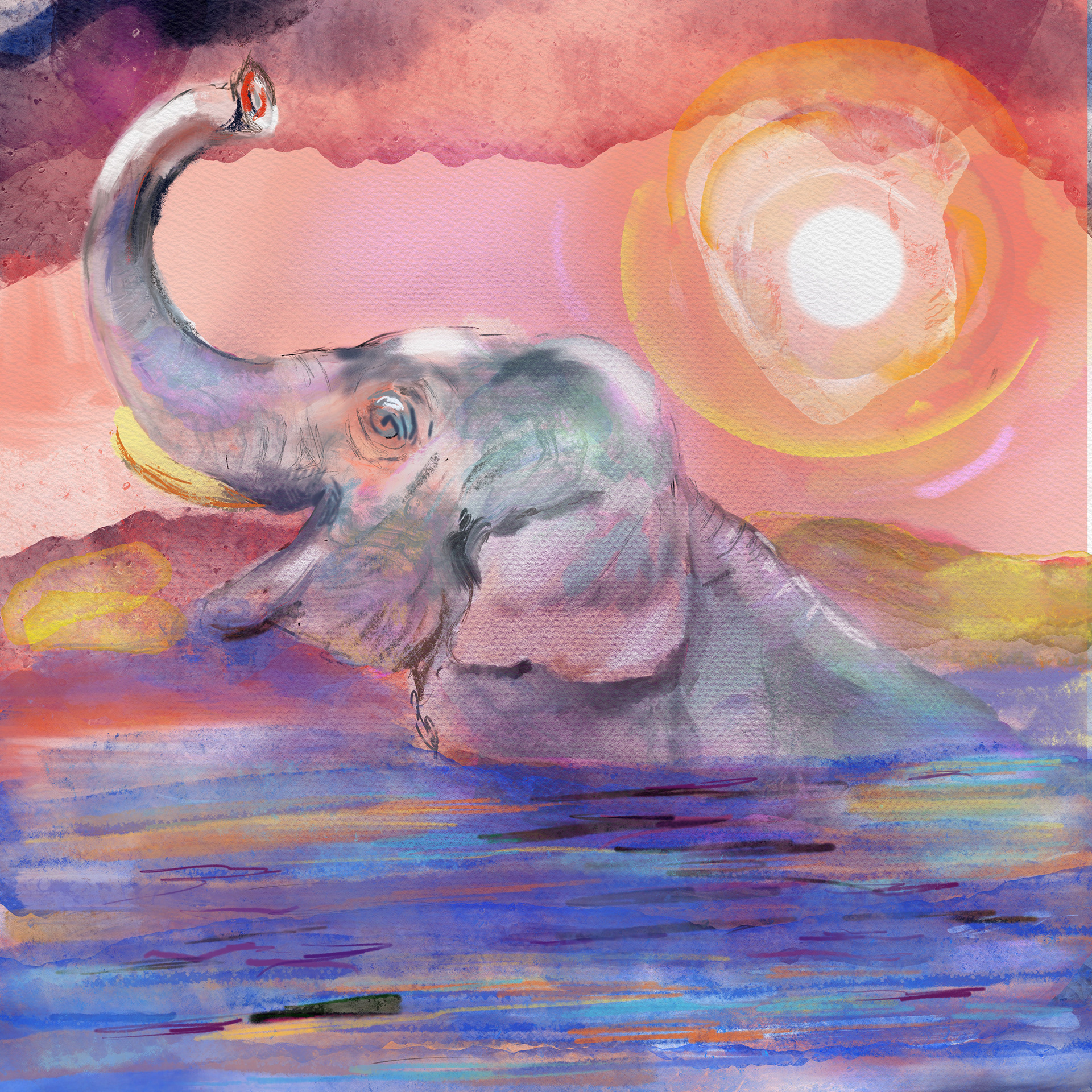 Elephant