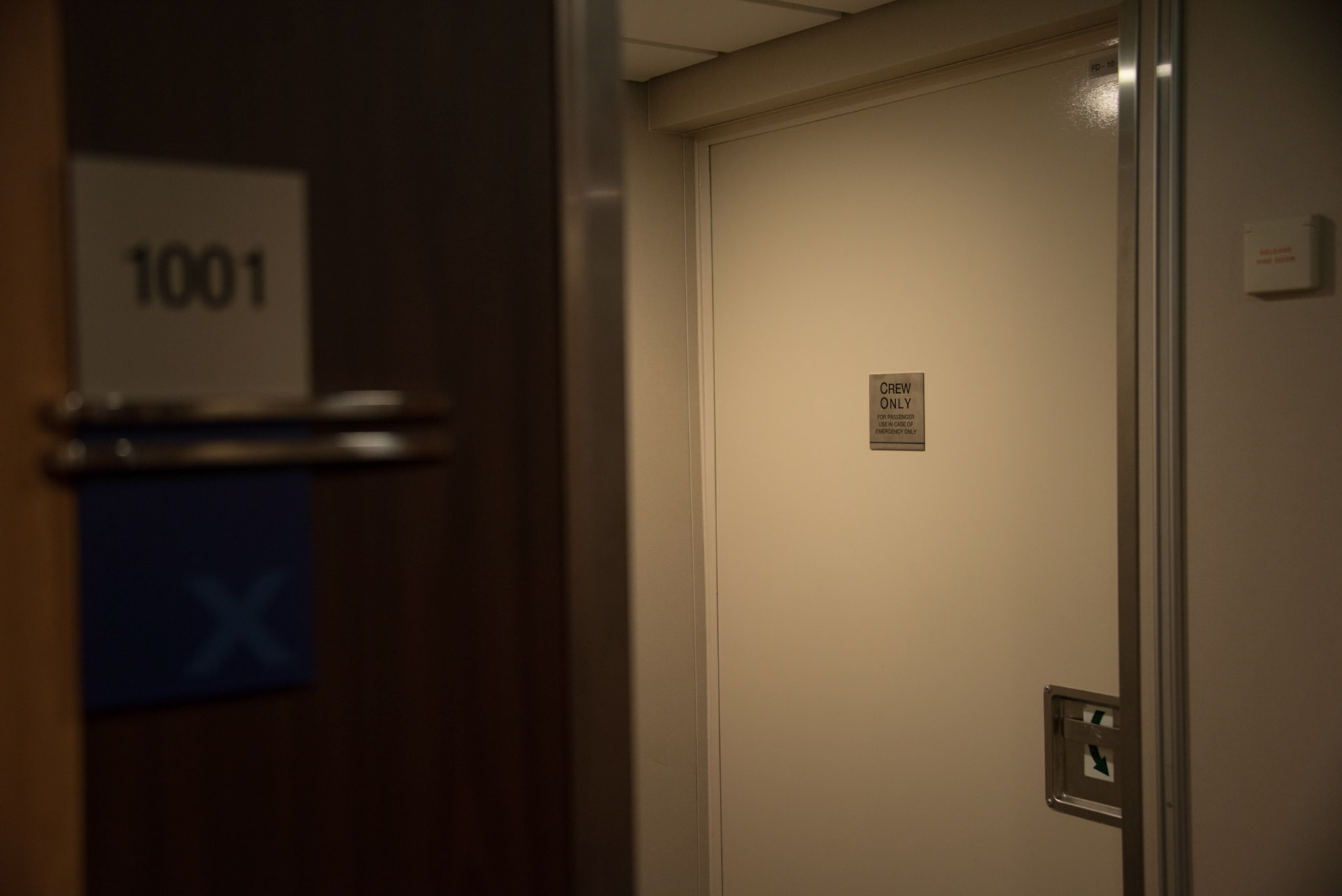 Celebrity Reflection