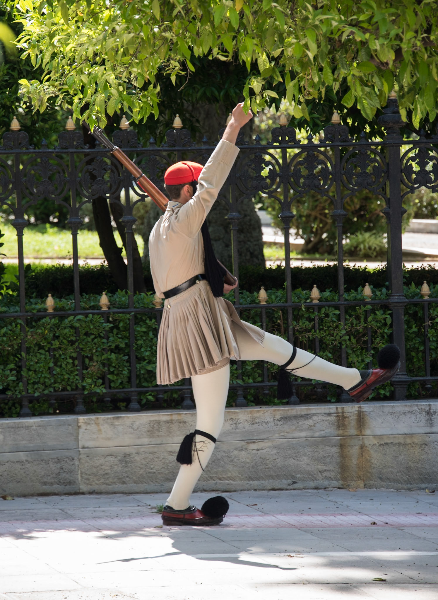 Presidental Palace Guards