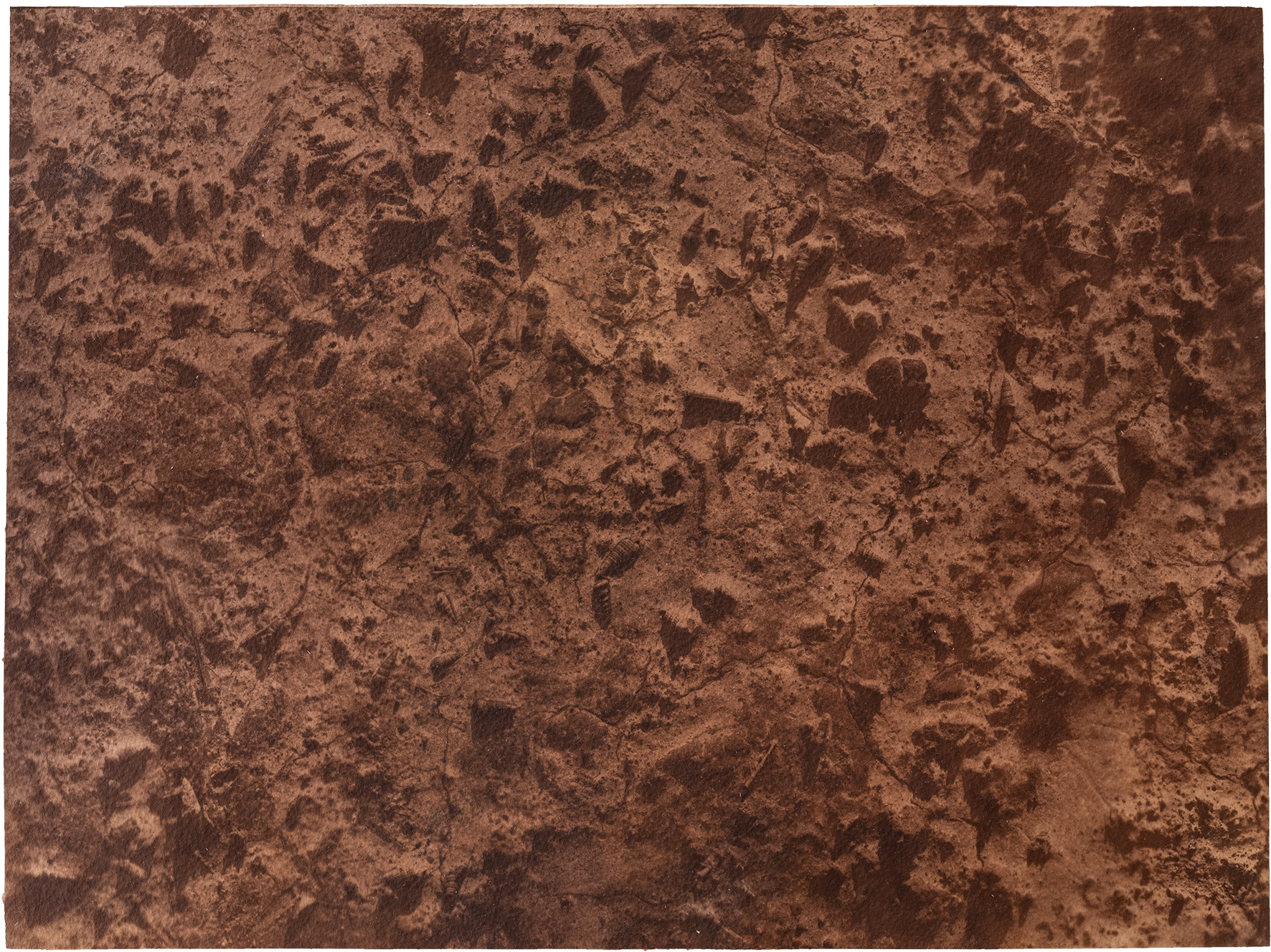 신안칼라 Nr.03 38.8x28.8cm