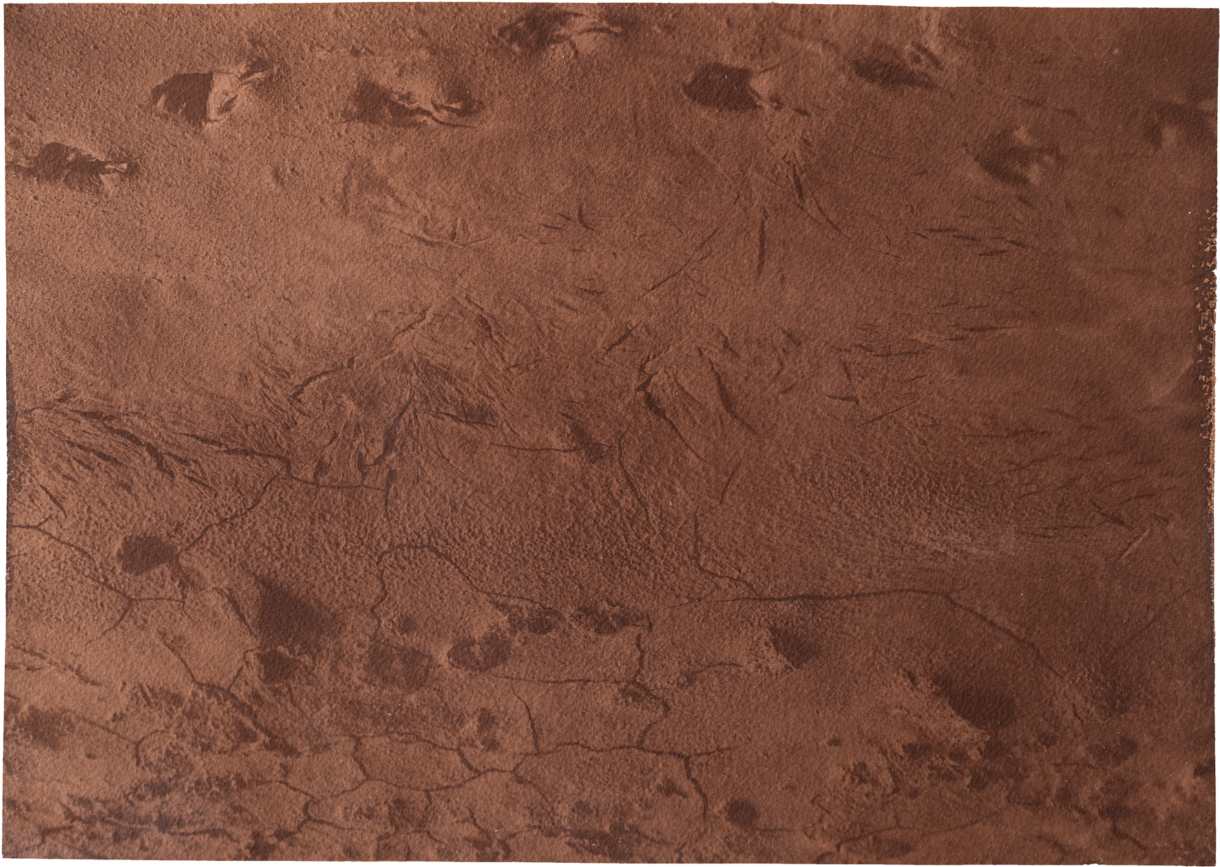 신안칼라 Nr.10 40.2x28.5cm 