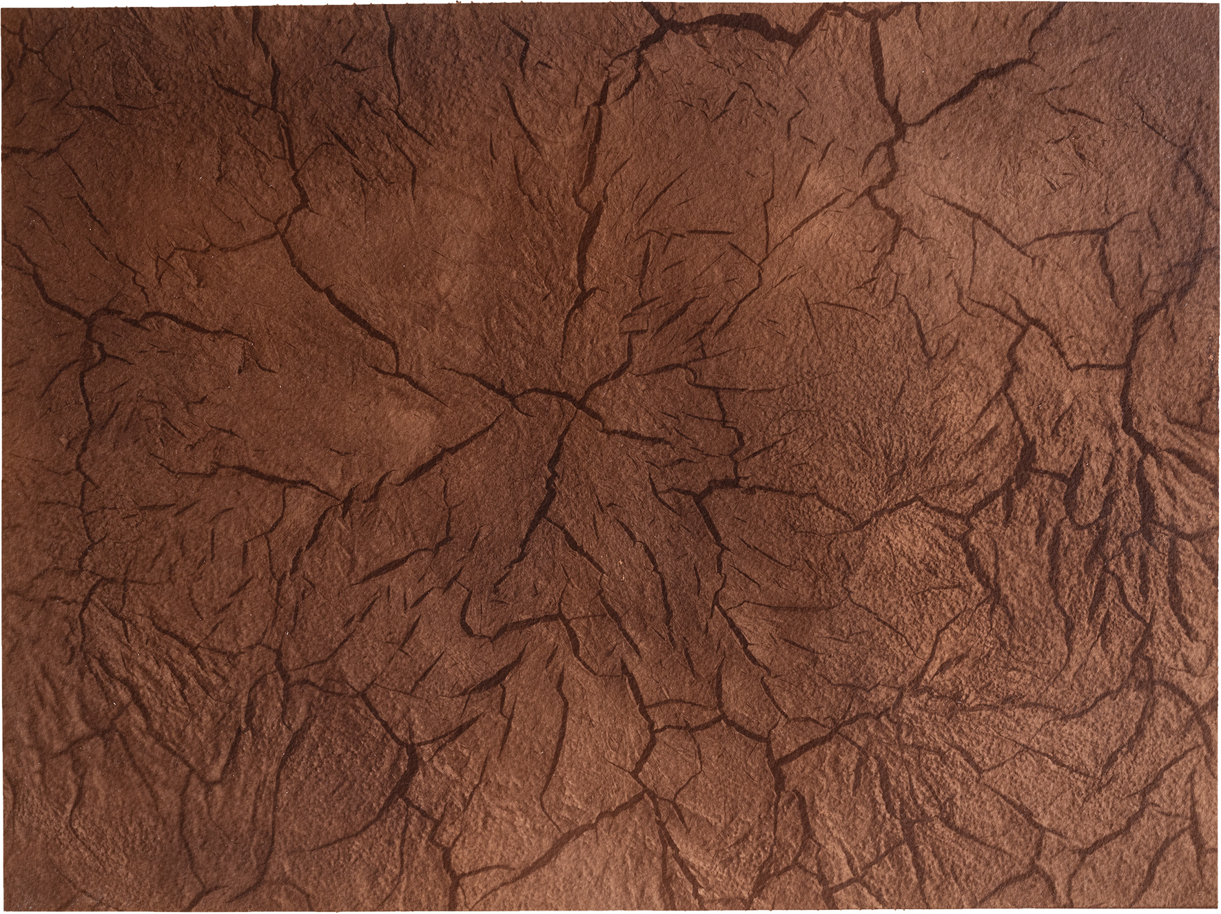신안칼라 Nr.05 38.8x28.8cm