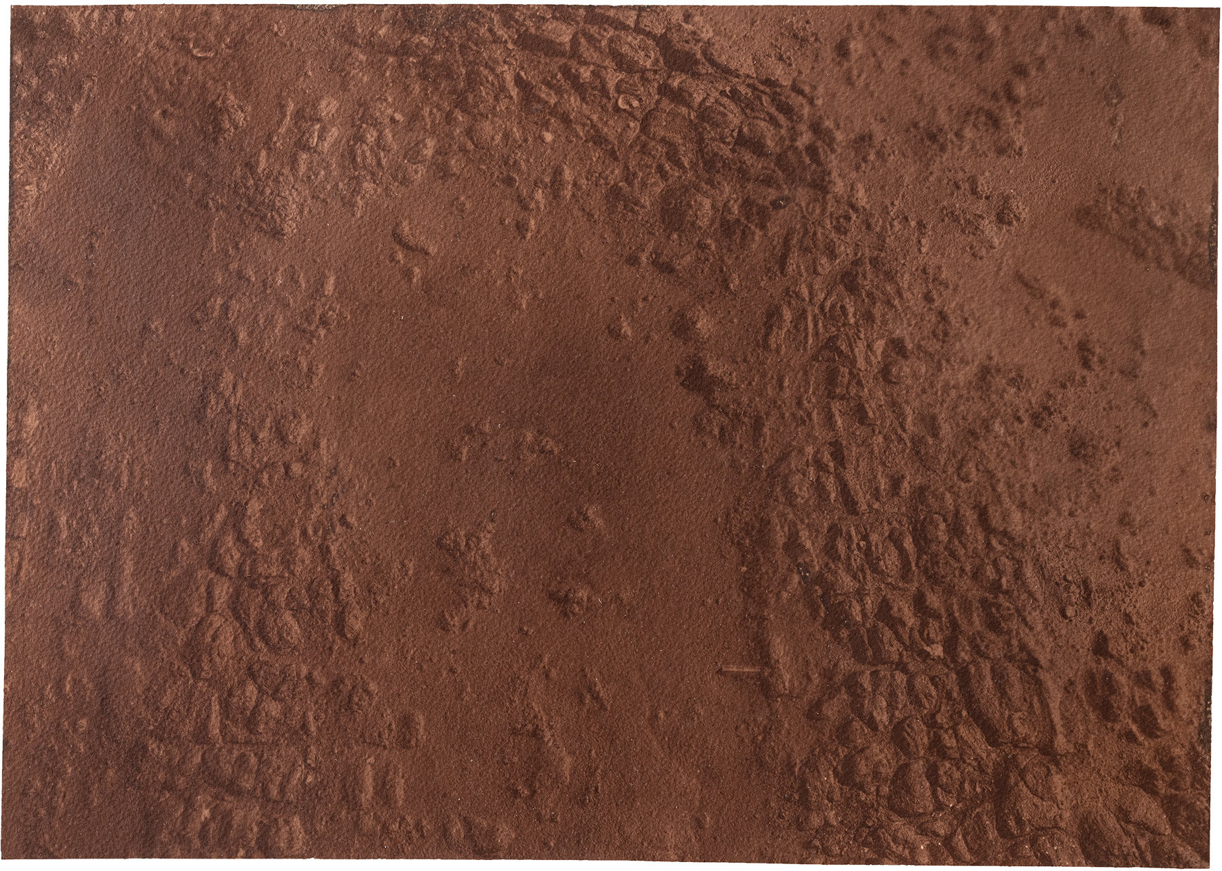 신안칼라 Nr.09 40.2x28.5cm