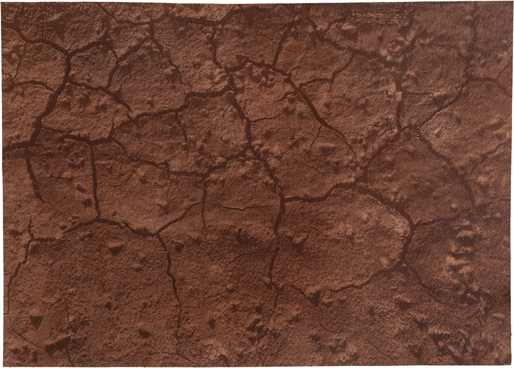 신안칼라 Nr.15 40.2x28.5cm
