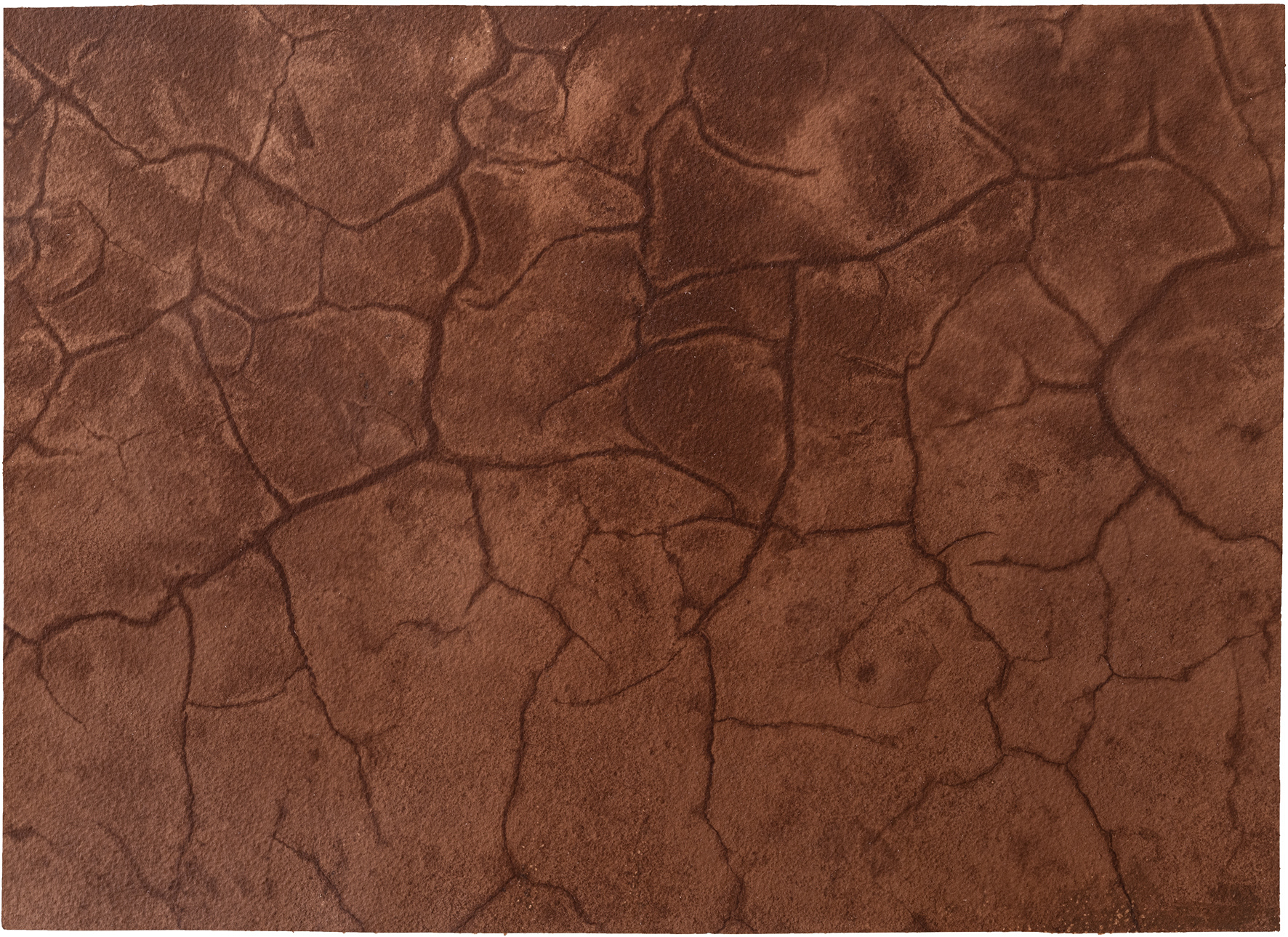 신안칼라 Nr.13 40.2x28.5cm