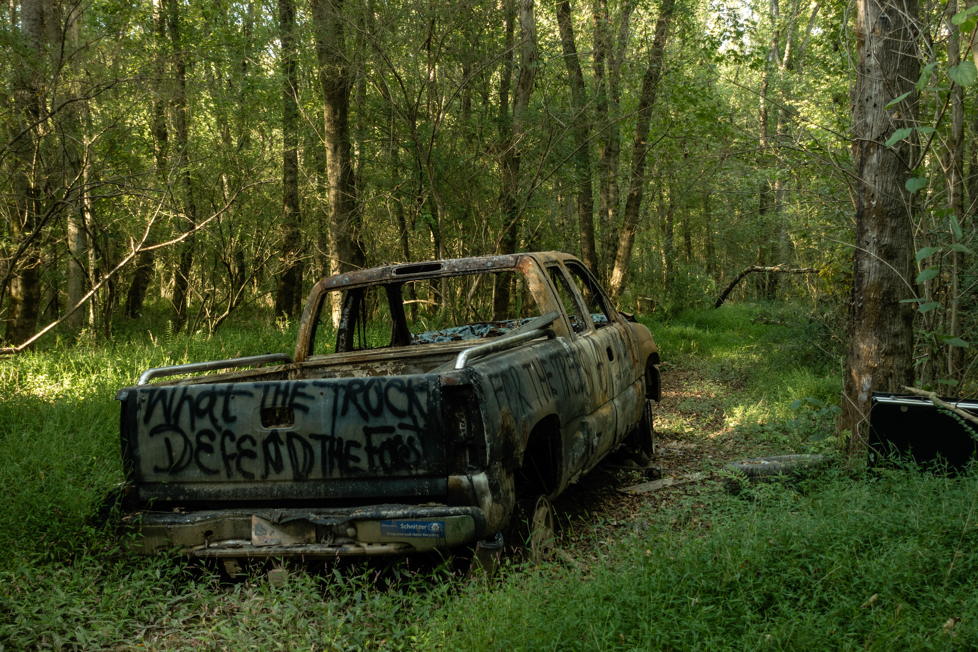 Weelaunee Forest, GA, 2022