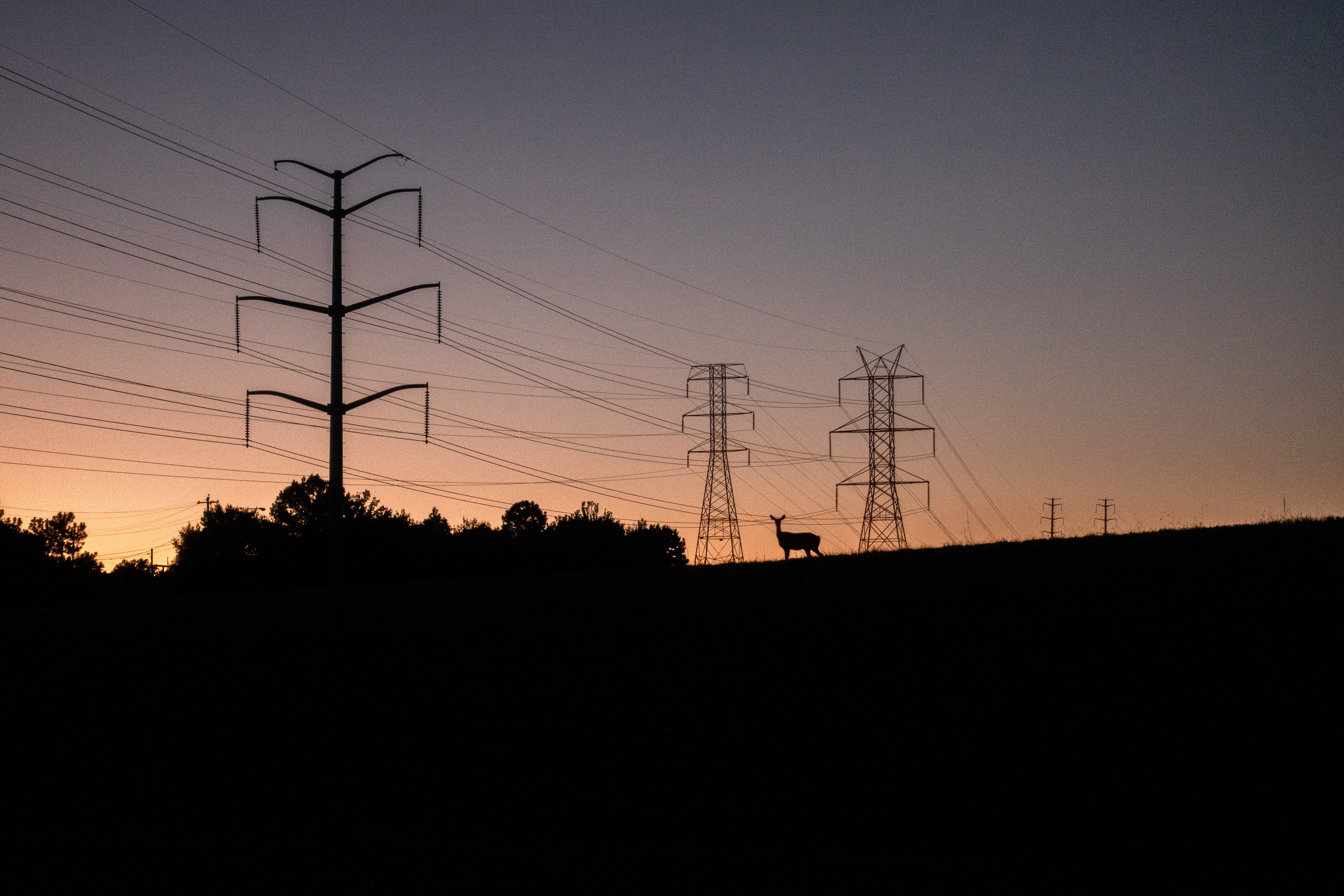 Weelaunee Forest, GA, 2022