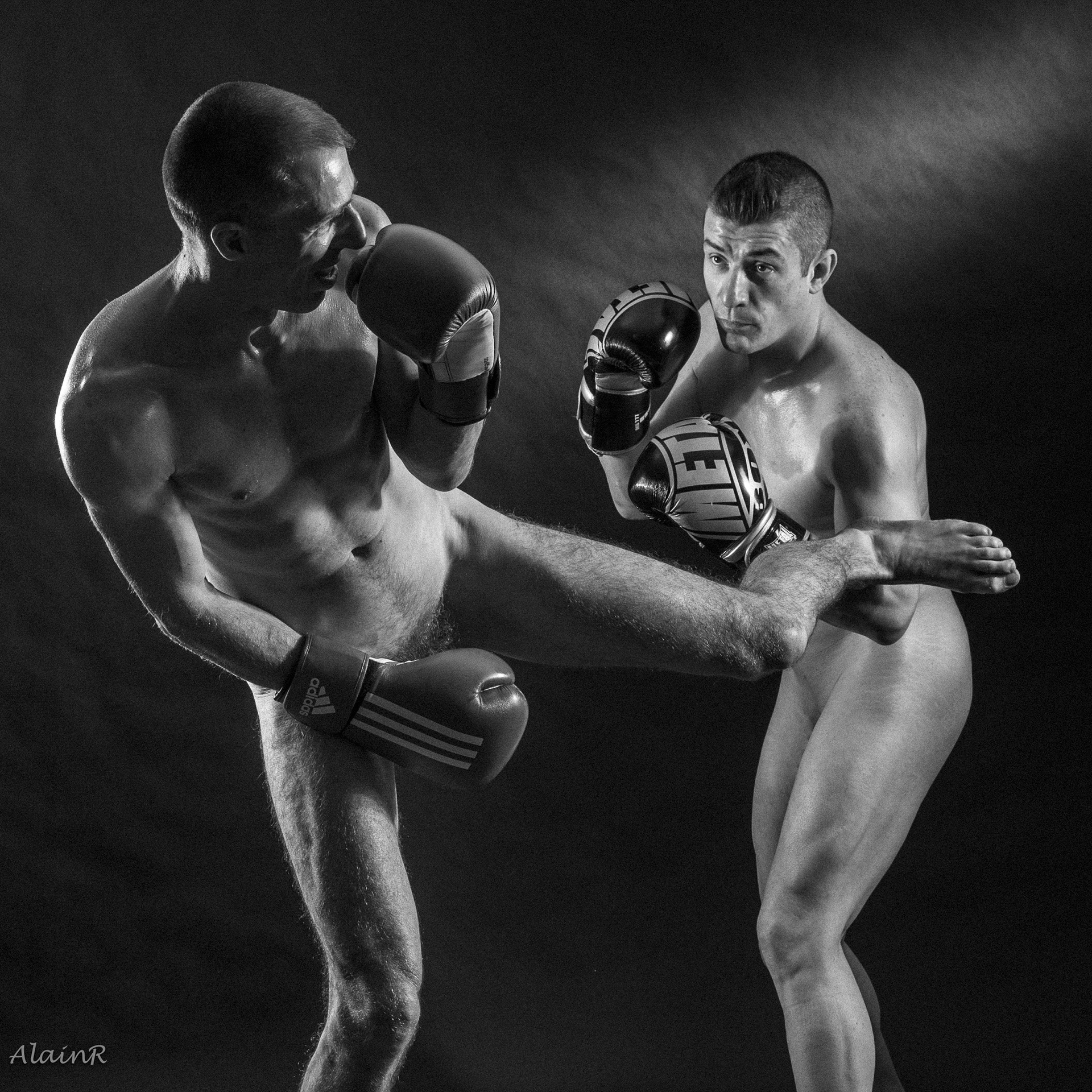 French Boxing Shool, 2016