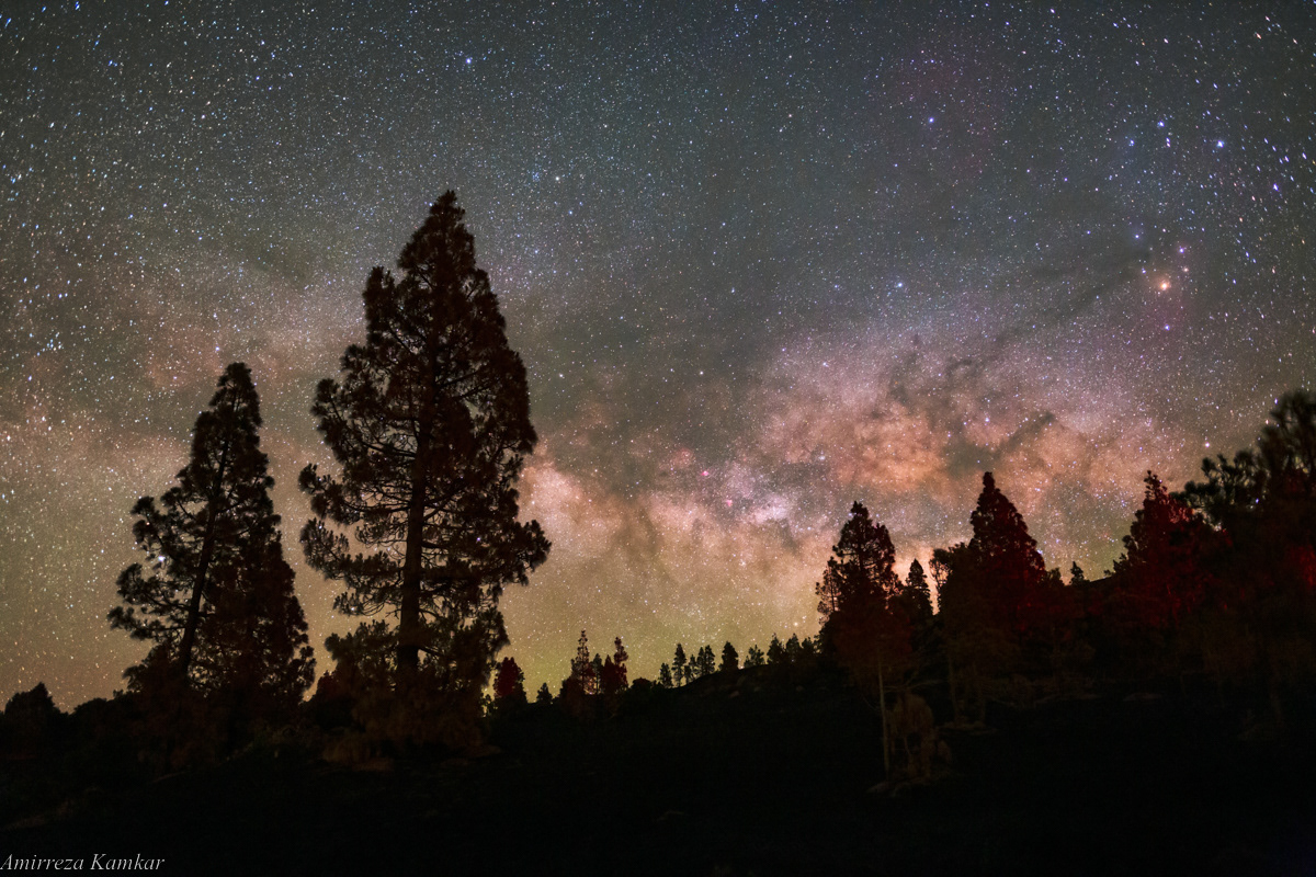 Milky Way rise over the pine trees in La Palma, Canary Islands.