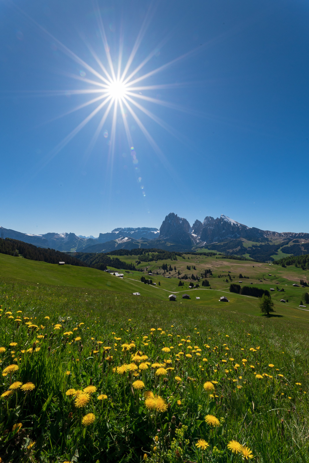 Sunny day in the meadows of Alpe di Siusi in Dolomites