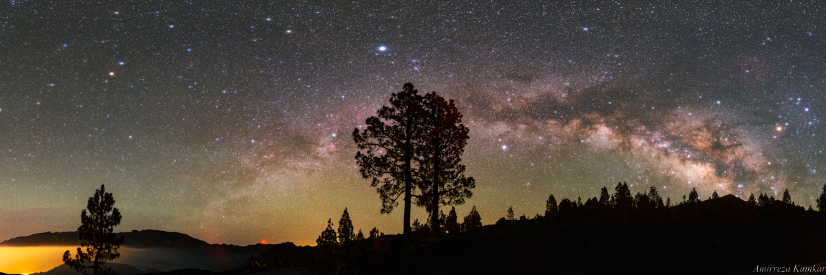 Milky Way arch over pine trees in La Palma, Canary Islands.