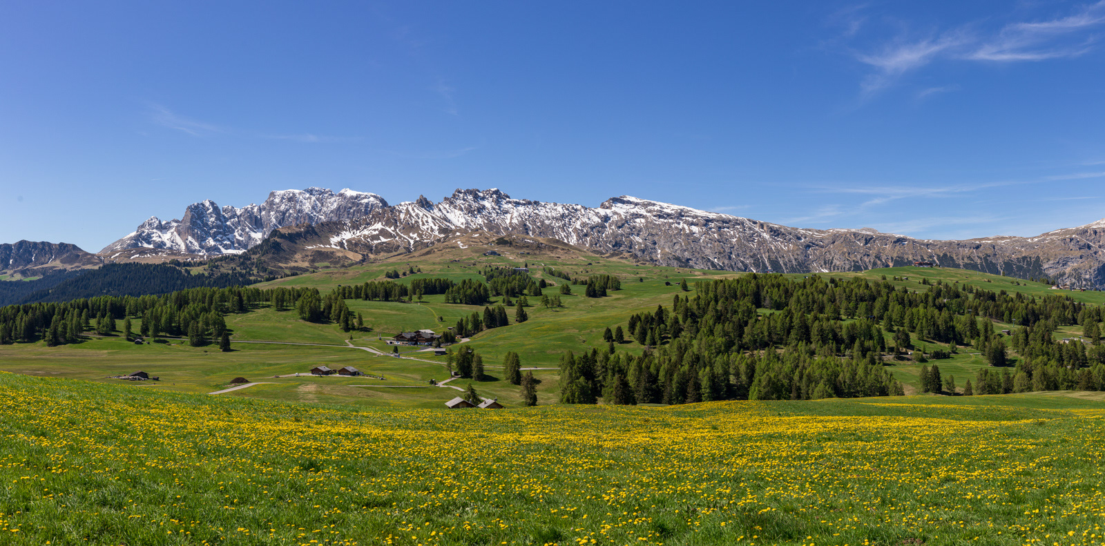 The meadows of Alpe di Siusi in Dolomites on a sunny spring day.