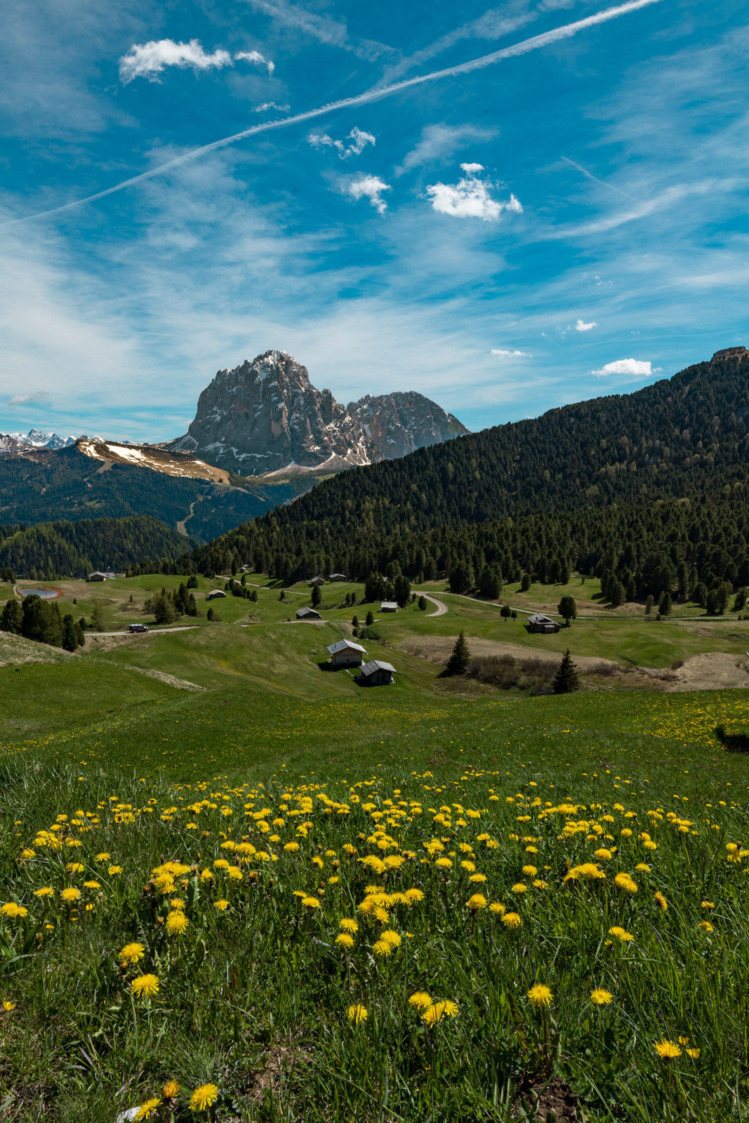 The medows around Seceda mountain, covered by flowers in a beautiful day in spring.