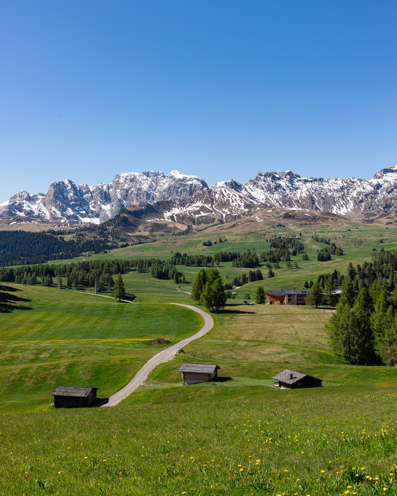 The meadows of Alpe di Siusi in Dolomites on a sunny spring day.