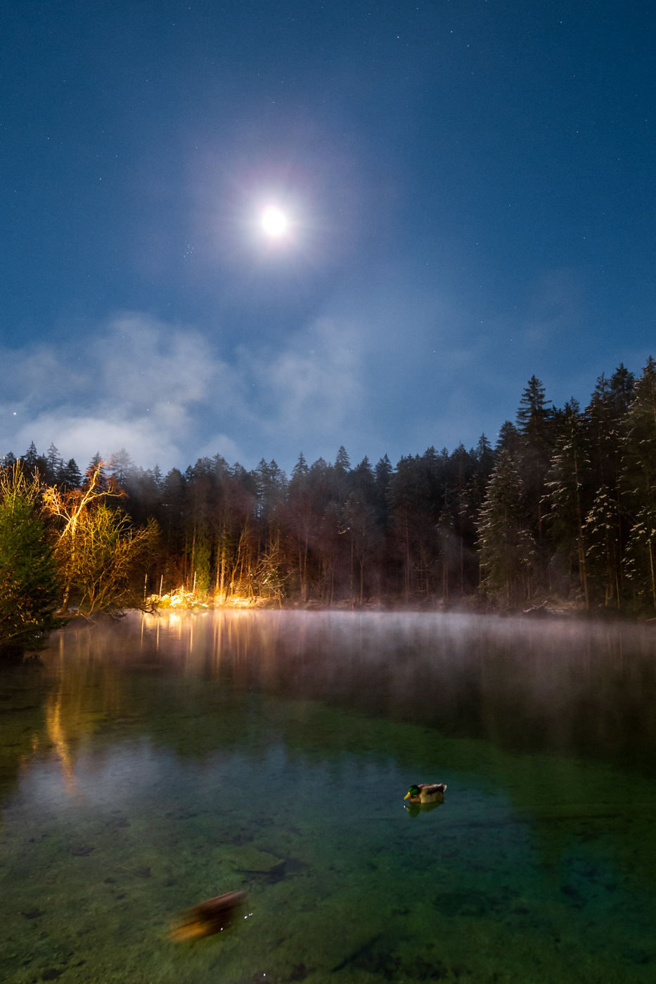 A moonlit night at lake Badersee, Grainau, Bavaria.