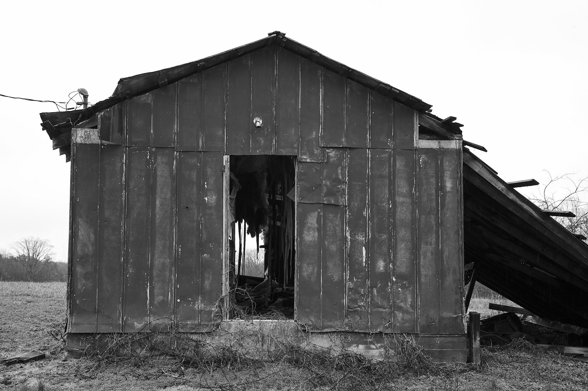 2 2, 2023© 2023 Bob CareyLEICA M11 – 50 13.0 – 1/60 – 640