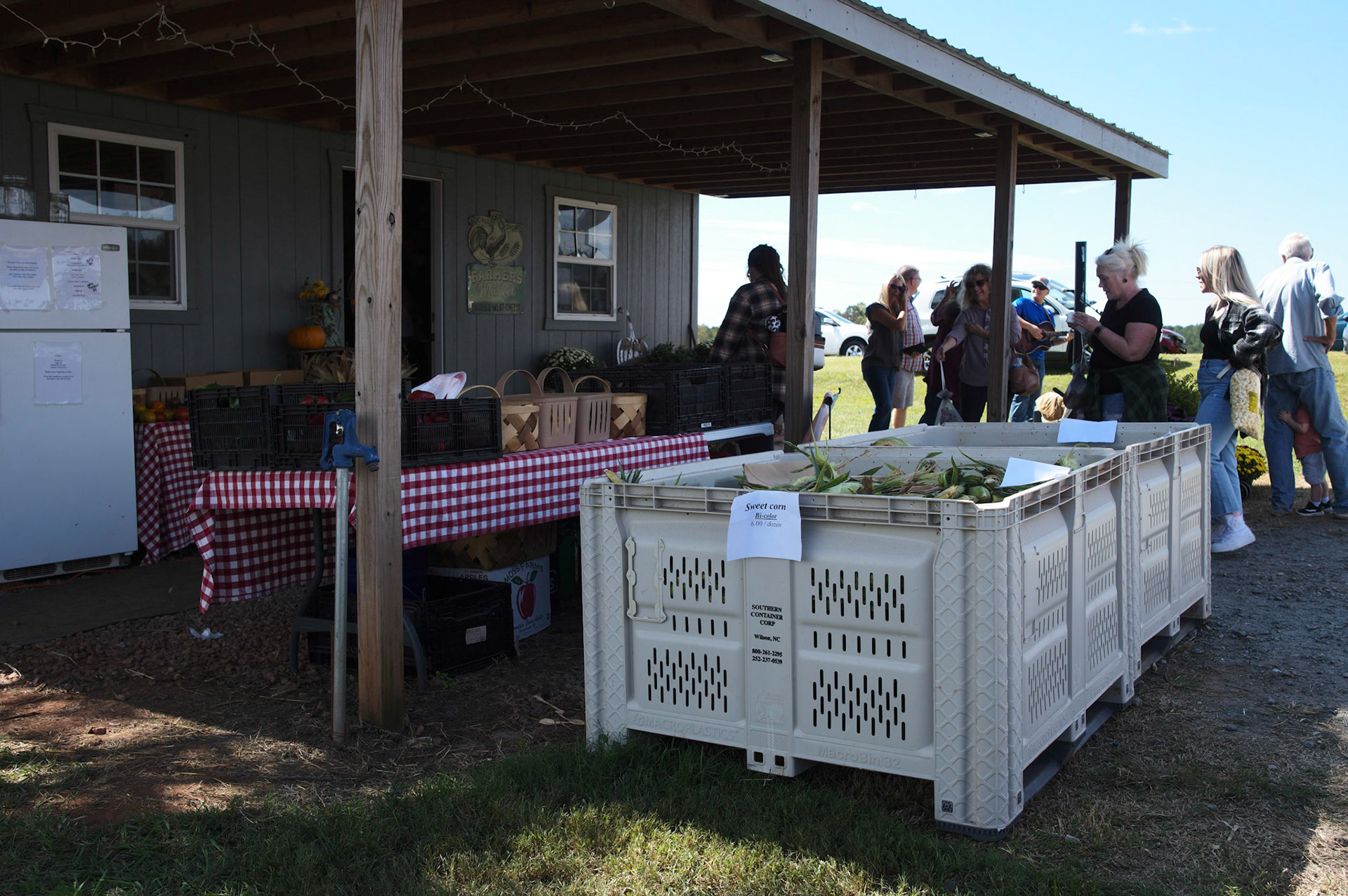 Guernsey Girl Creamery Fall Fun Day on Saturday, September 24, 2022 in Shelby, NC.©2022 Bob CareyLEICA M11, 50 – SS 1/60, F 5.6, ISO 64