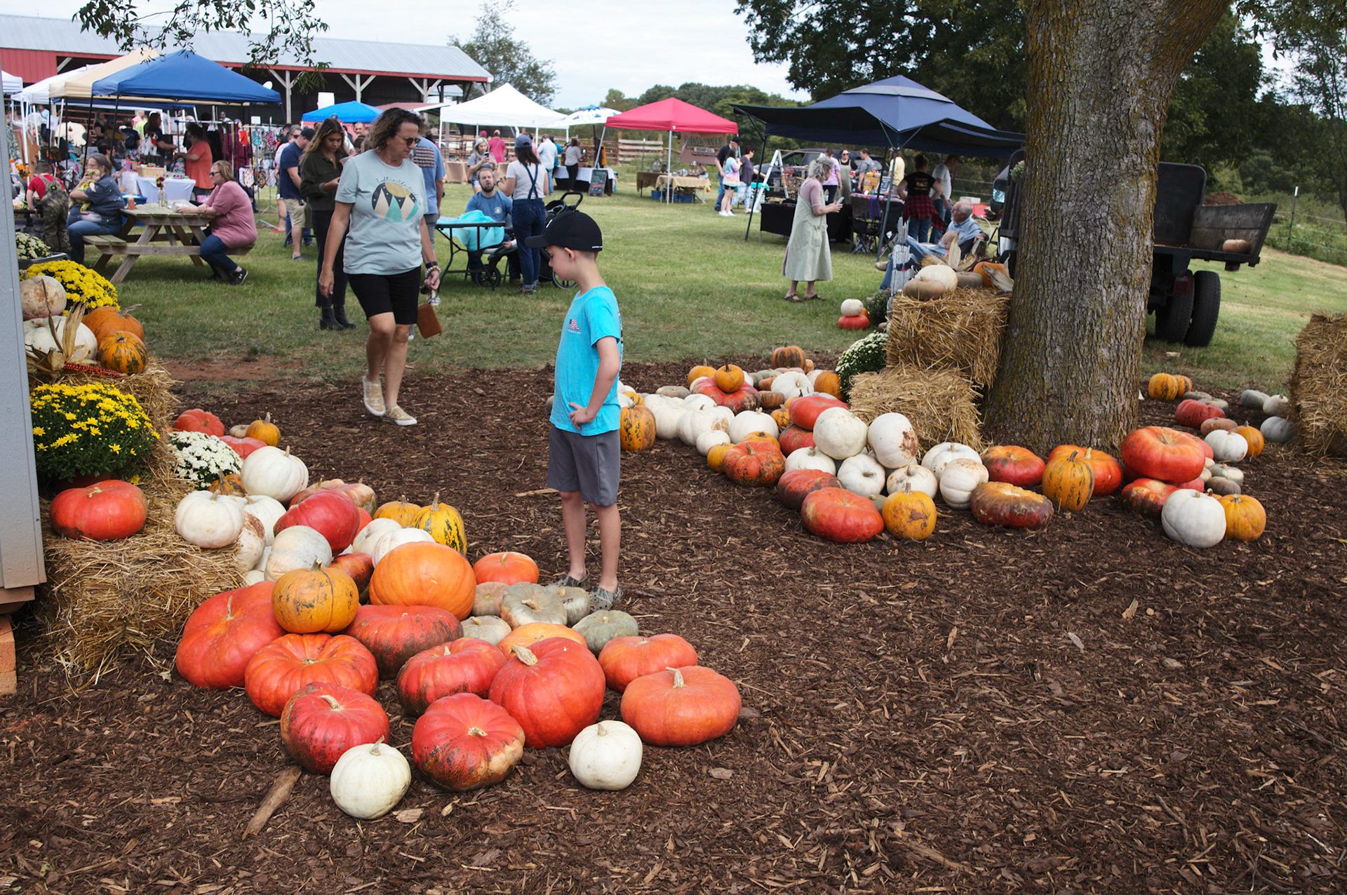 Guernsey Girl Creamery Fall Fun Day on Saturday, September 24, 2022 in Shelby, NC.©2022 Bob CareyLEICA M11, 50 – SS 1/60, F 5.6, ISO 64