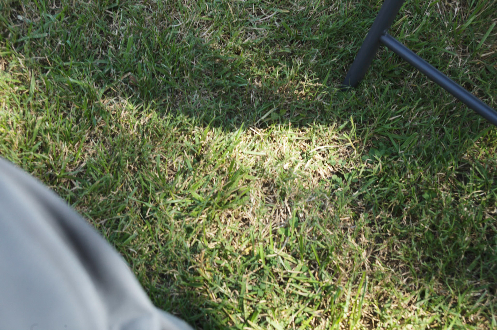 Guernsey Girl Creamery Fall Fun Day on Saturday, September 24, 2022 in Shelby, NC.©2022 Bob CareyLEICA M11, 50 – SS 1/60, F 5.6, ISO 64